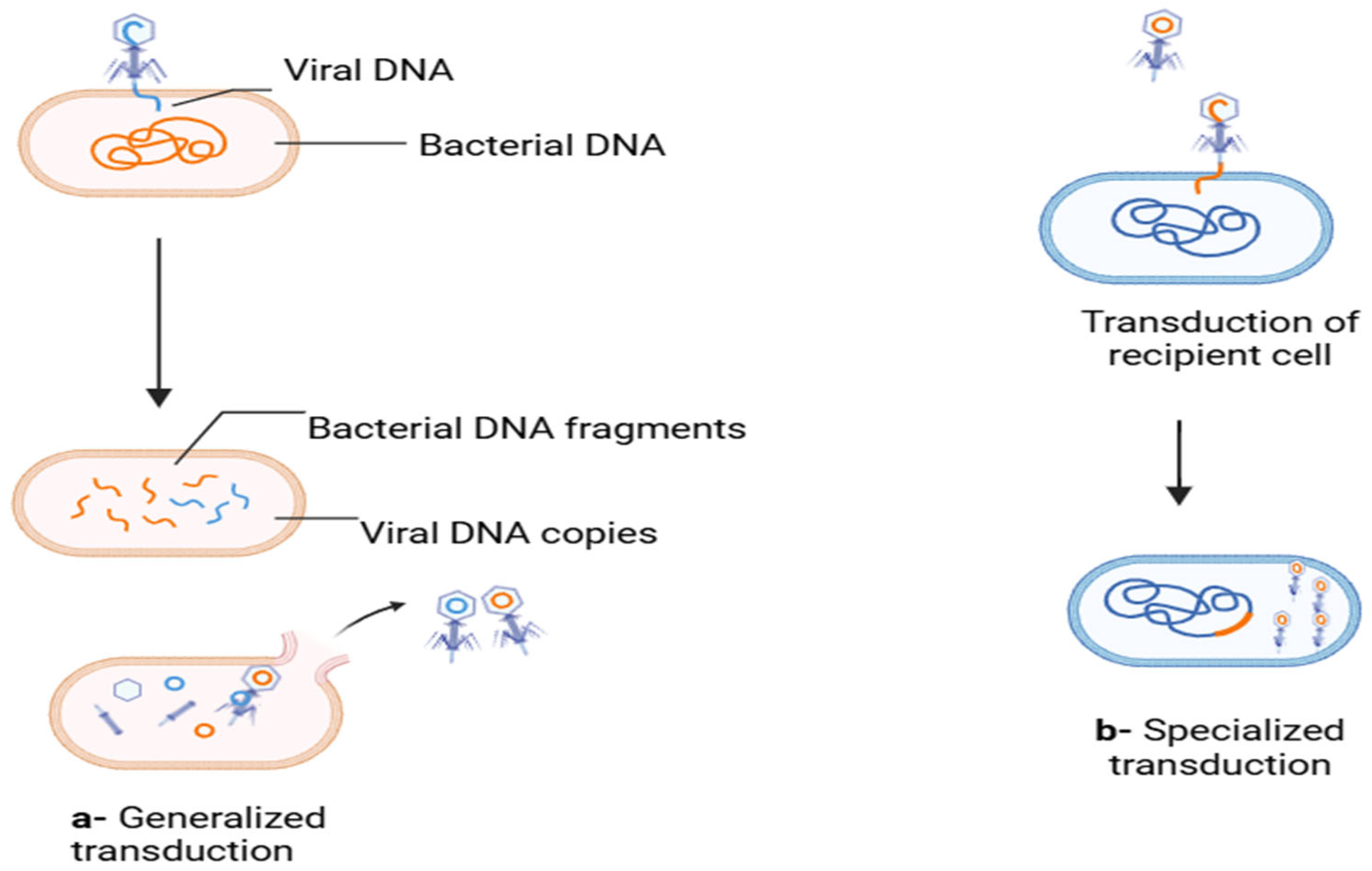 Targets 03 00025 g002