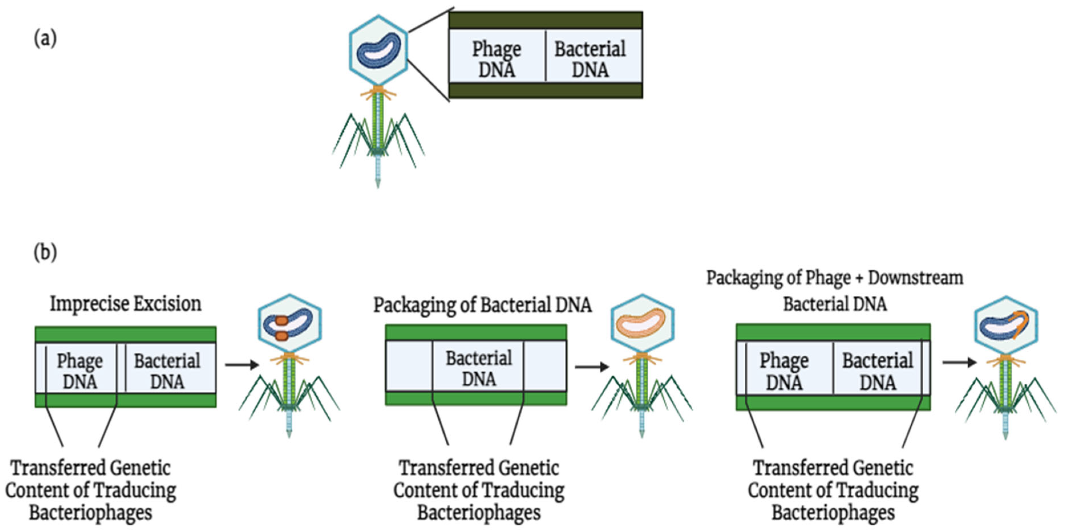 Targets 03 00025 g003
