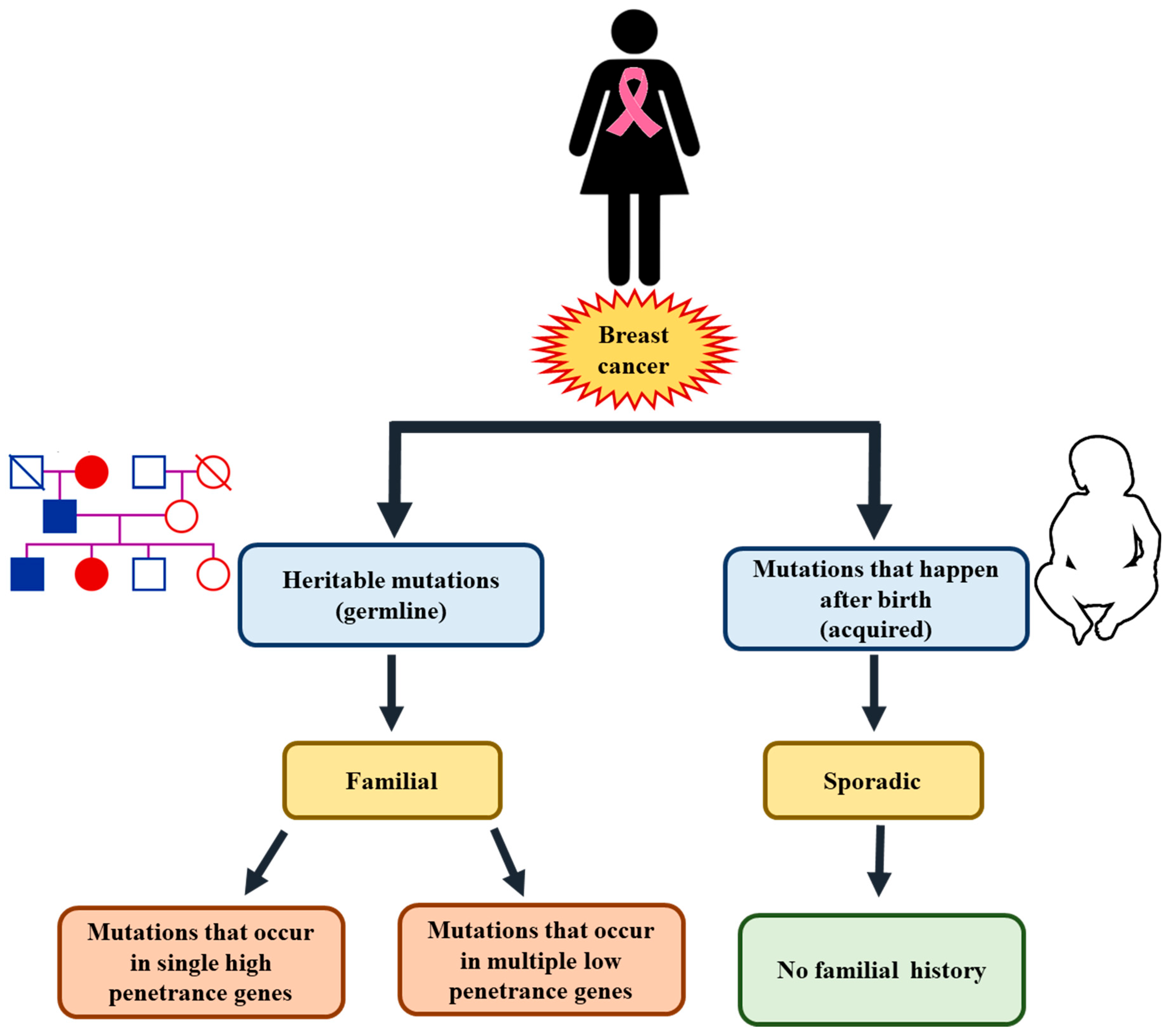 Targets 03 00038 g003