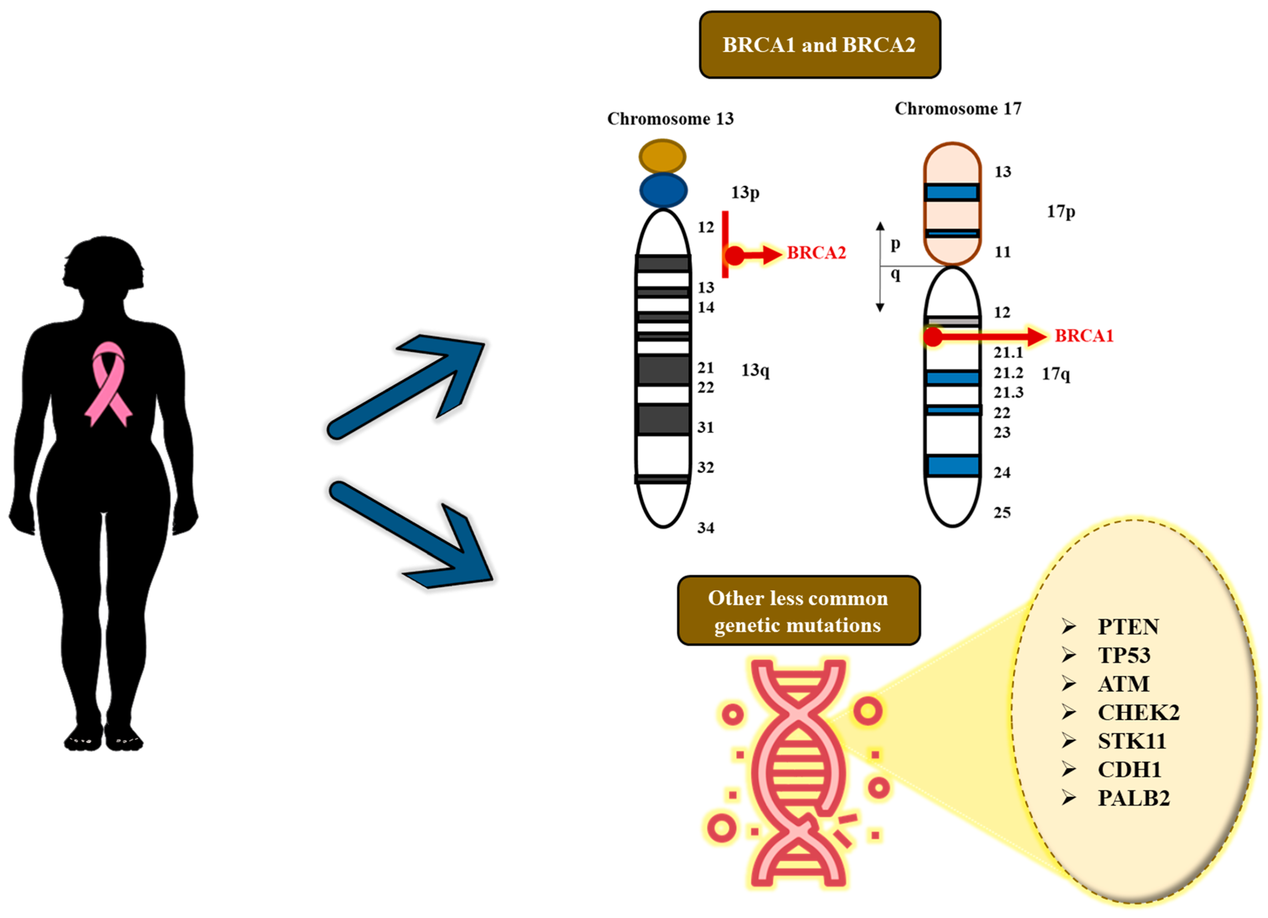 Targets 03 00038 g004