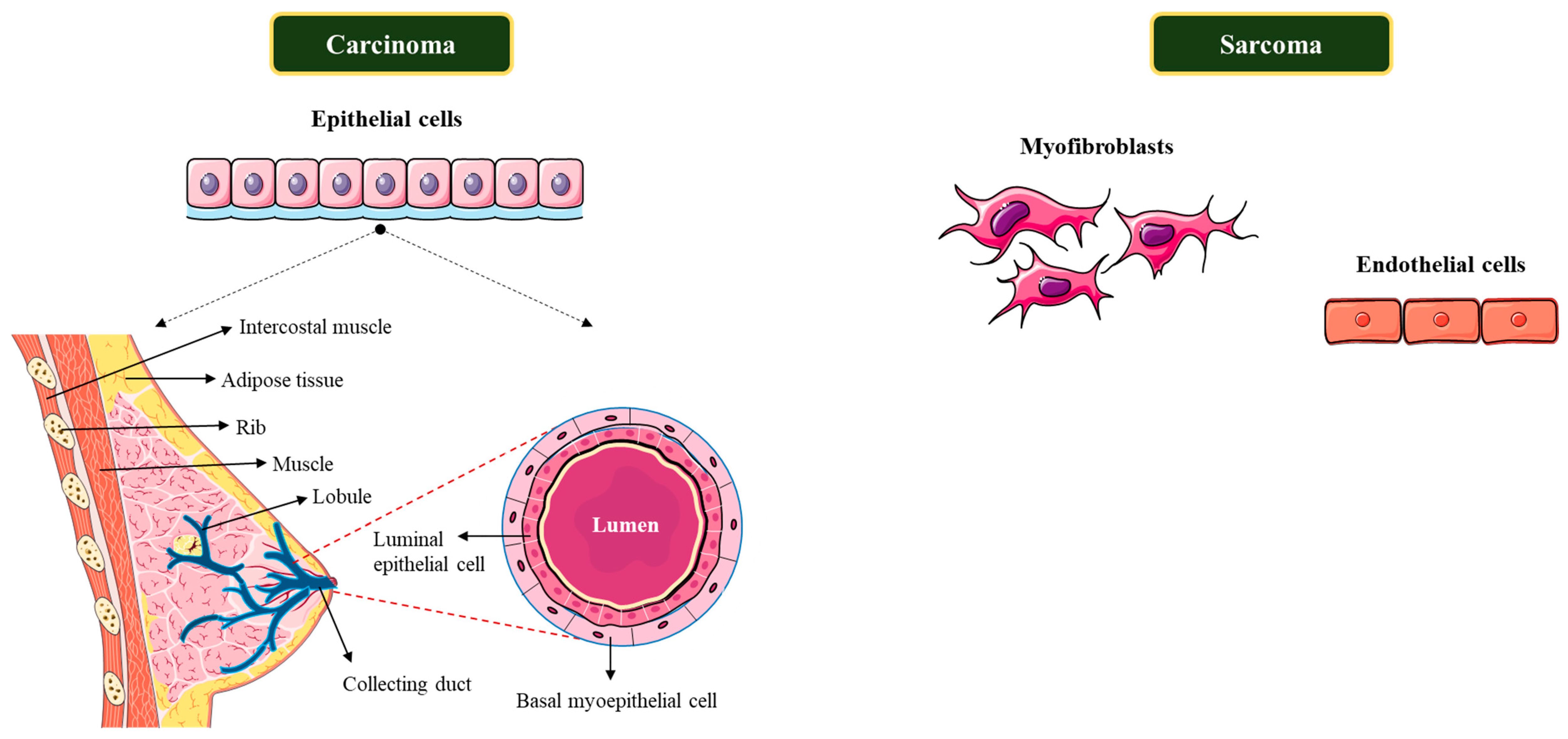 Targets 03 00038 g006