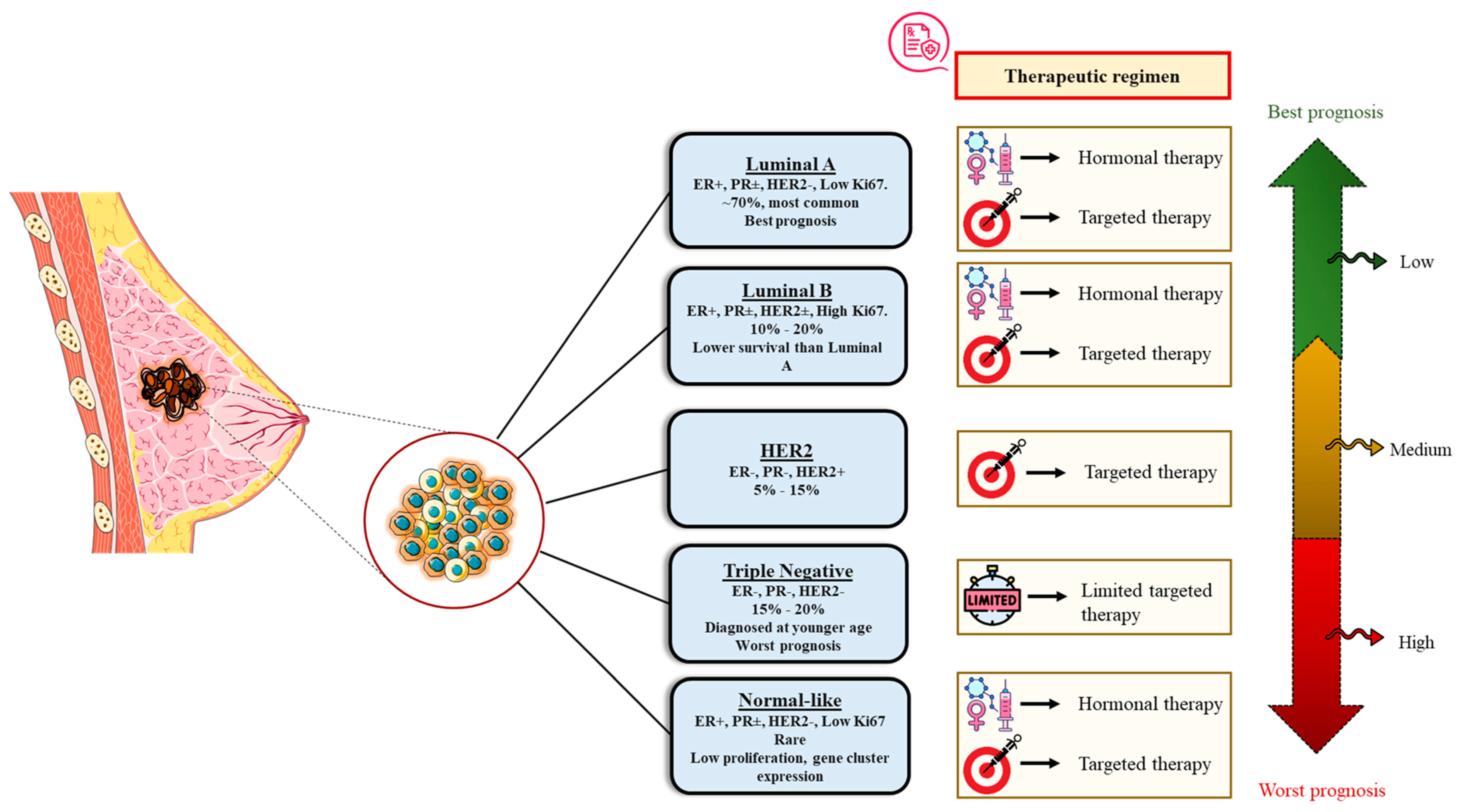 Targets 03 00038 g008