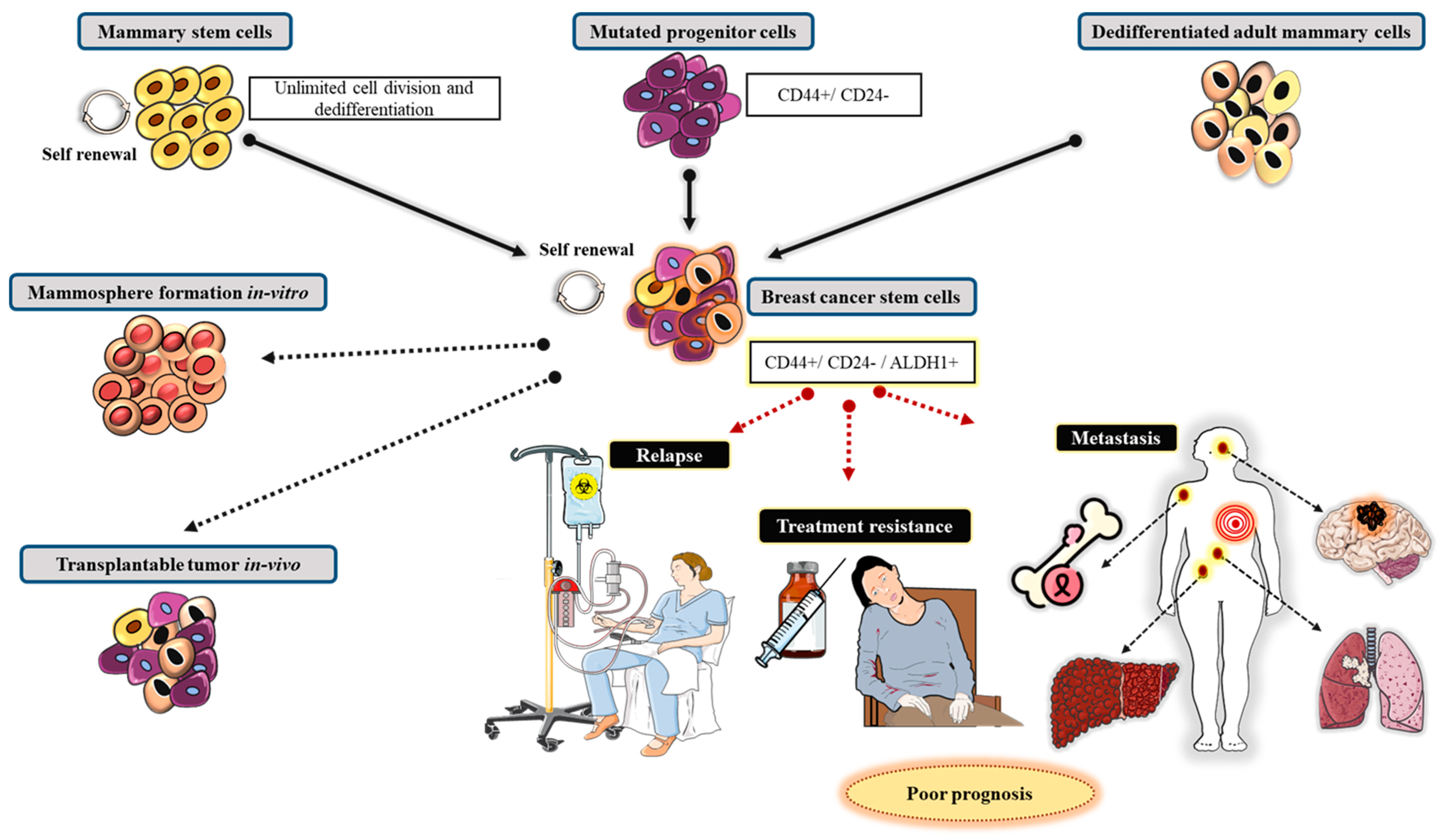Targets 03 00038 g010