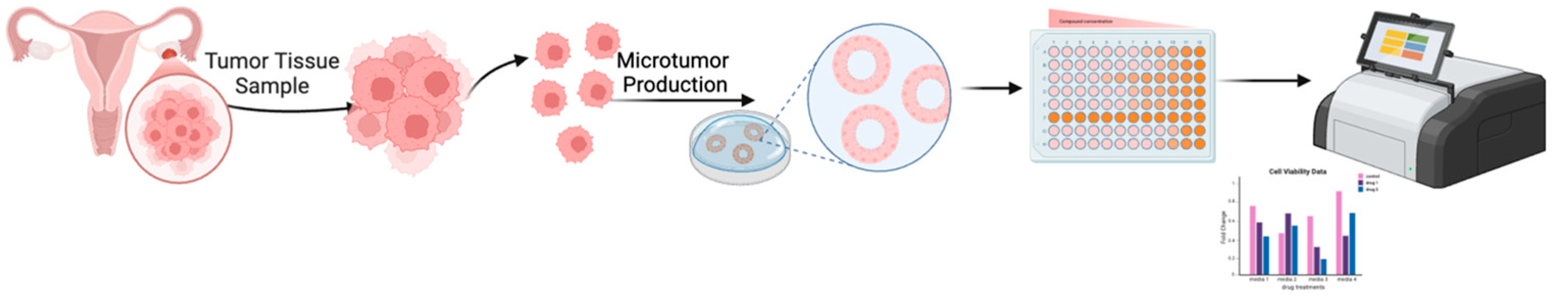 Targets 04 00002 g001