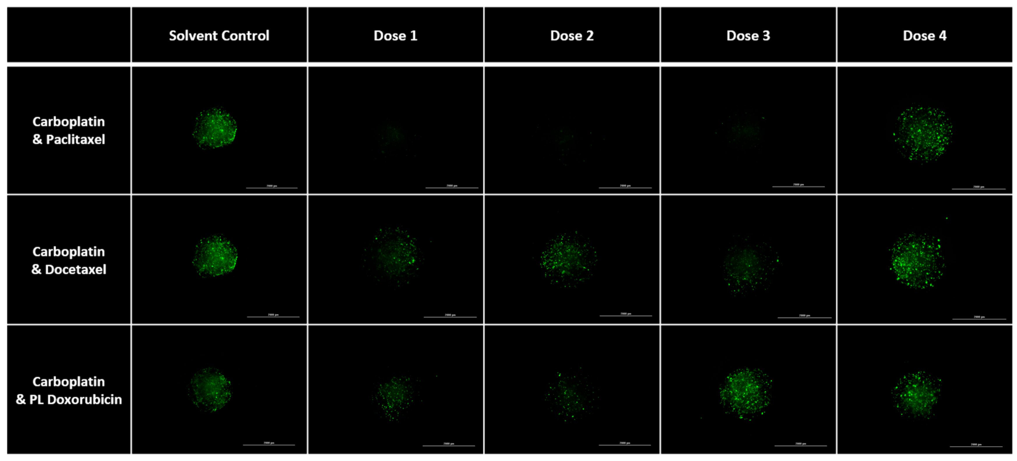 Targets 04 00002 g003