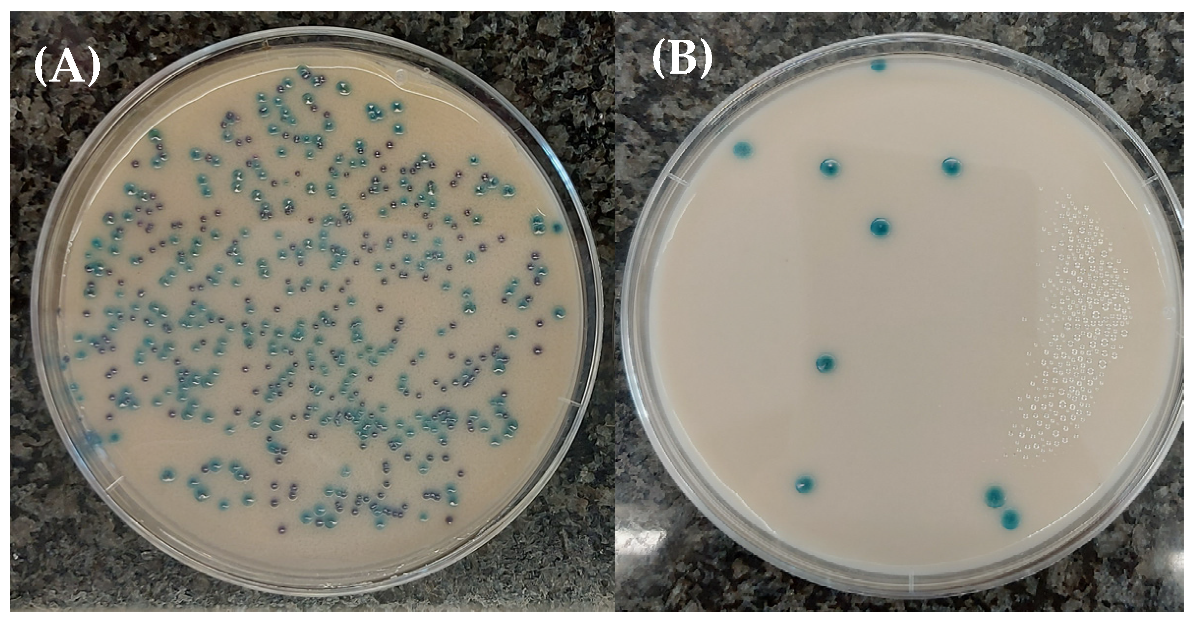 Targets 04 00003 g002
