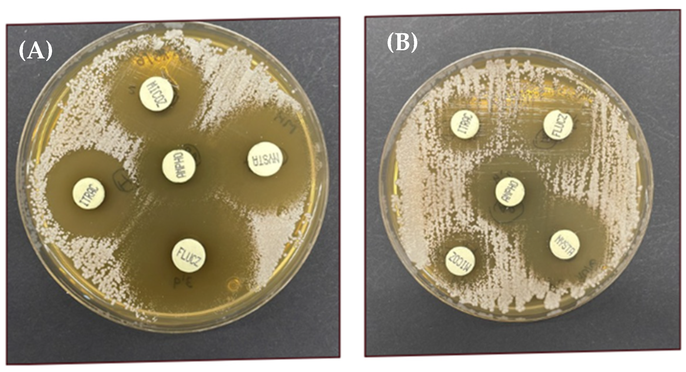Targets 04 00003 g003