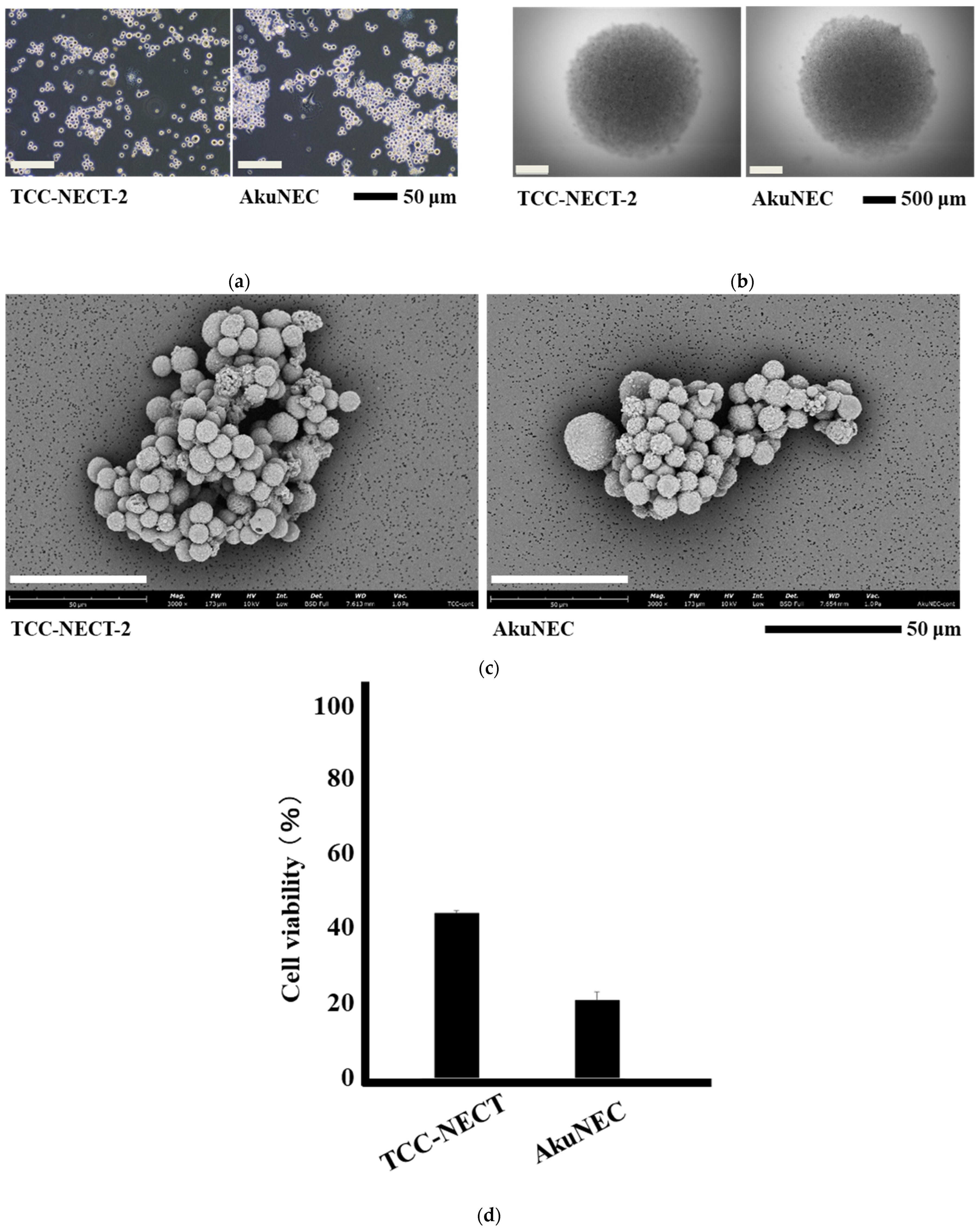 Targets 04 00009 g001