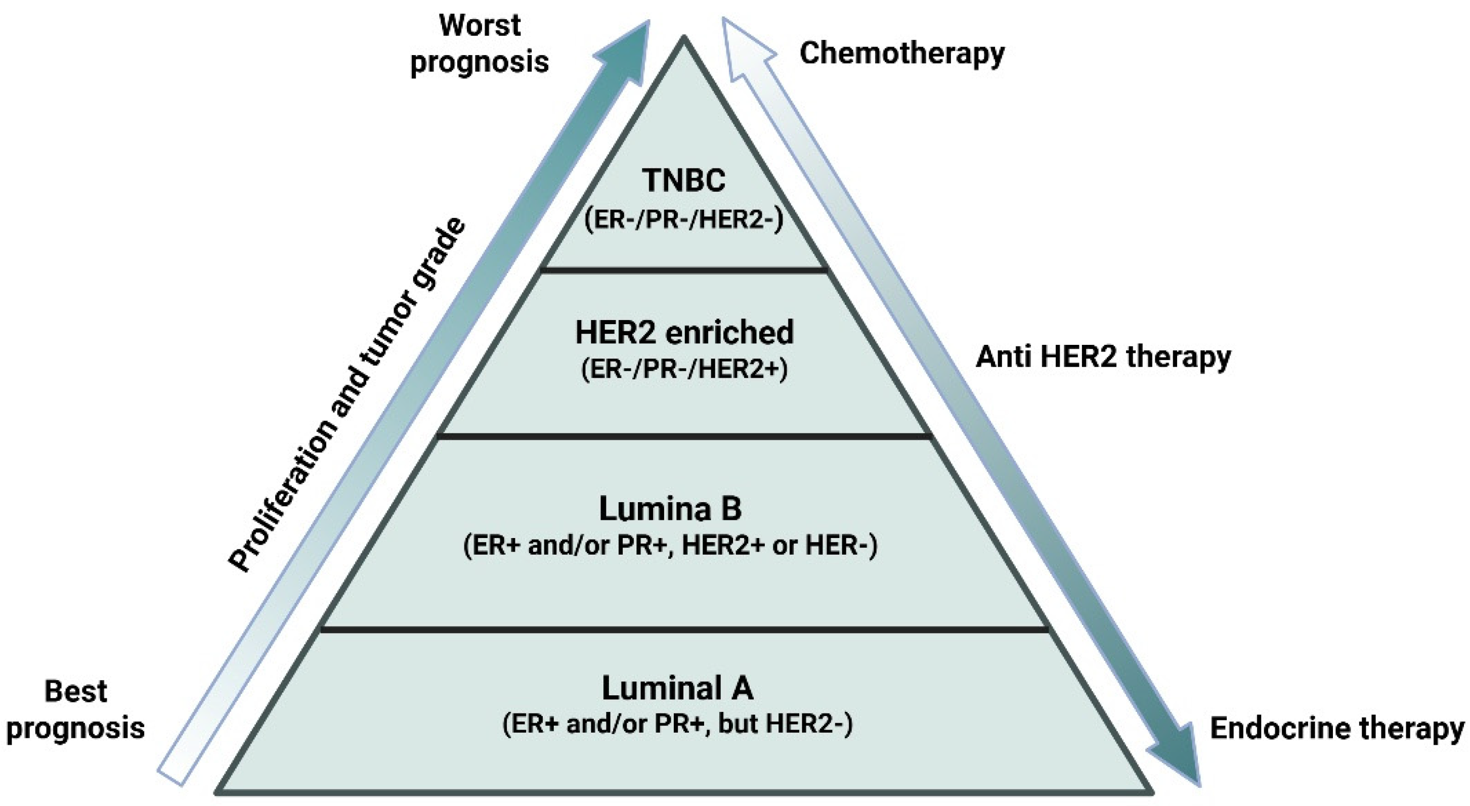 Targets 04 00010 g002