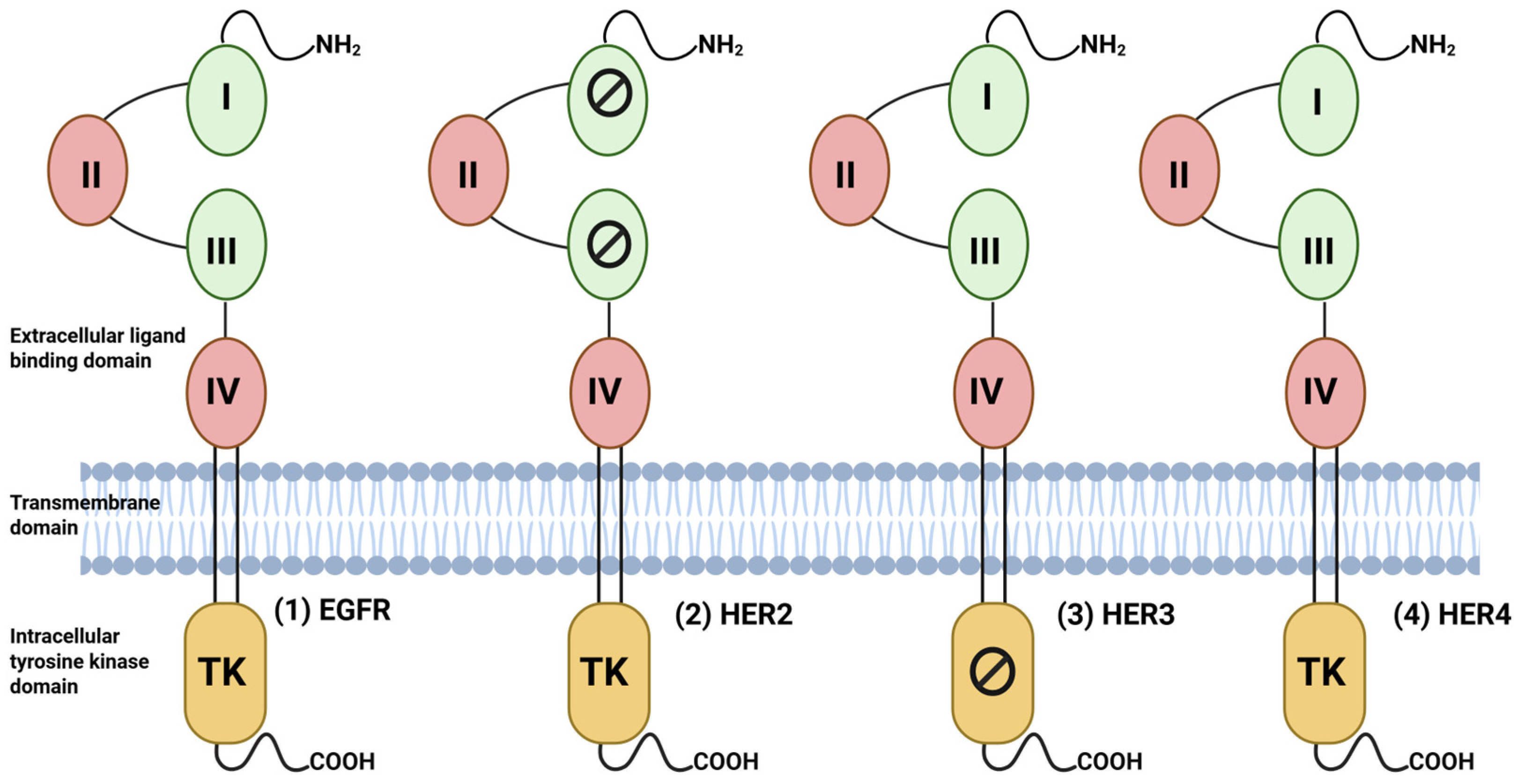 Targets 04 00010 g003