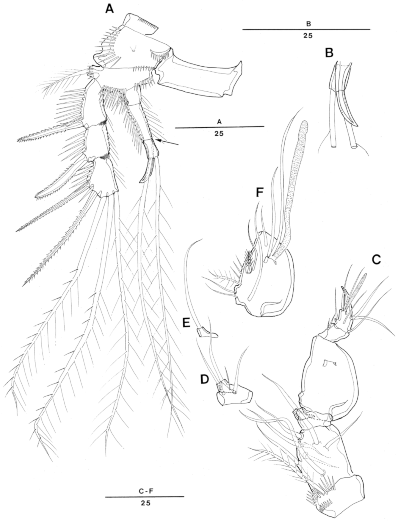 Taxonomy 01 00004 g006