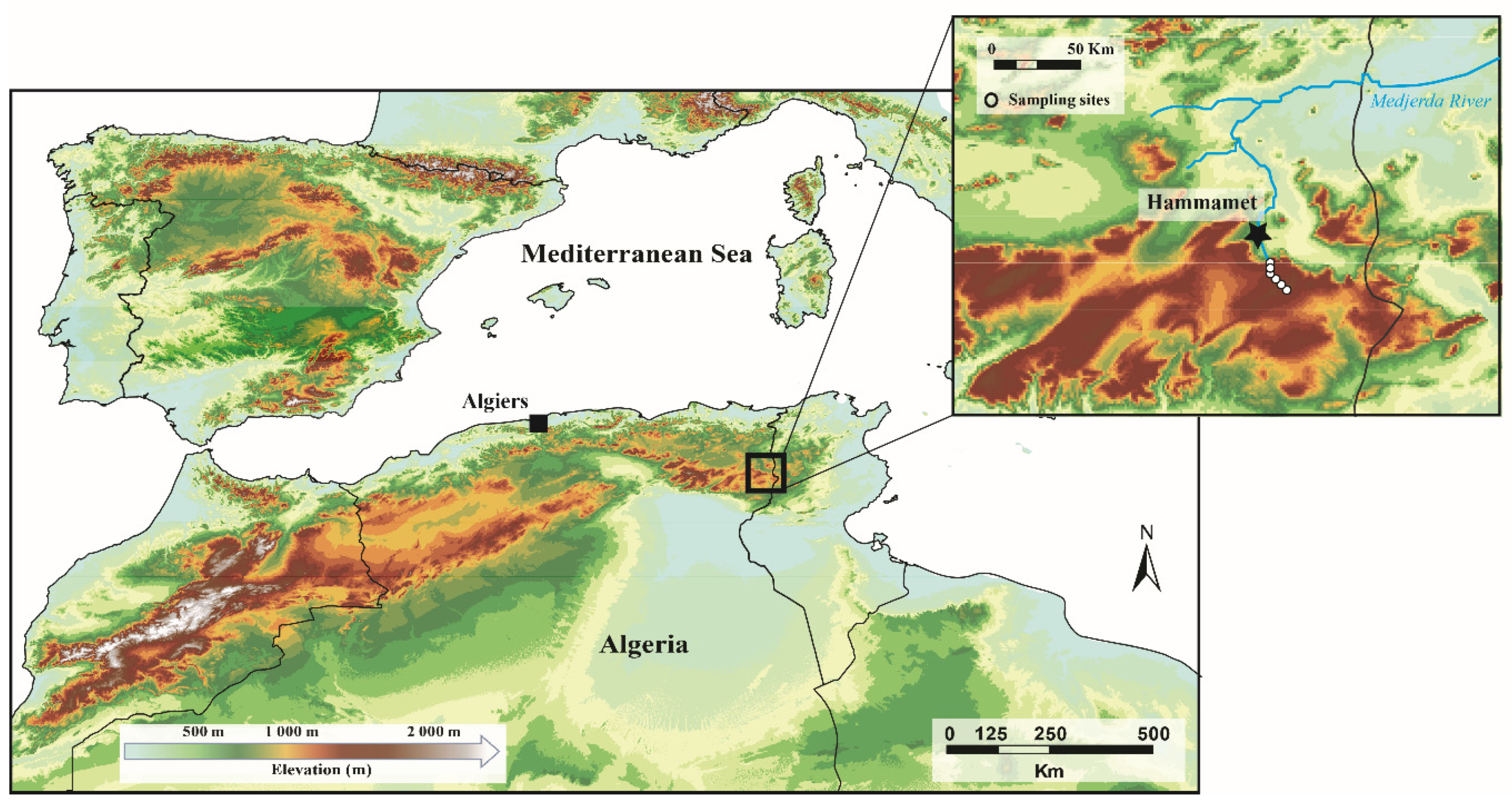 Taxonomy 01 00005 g001