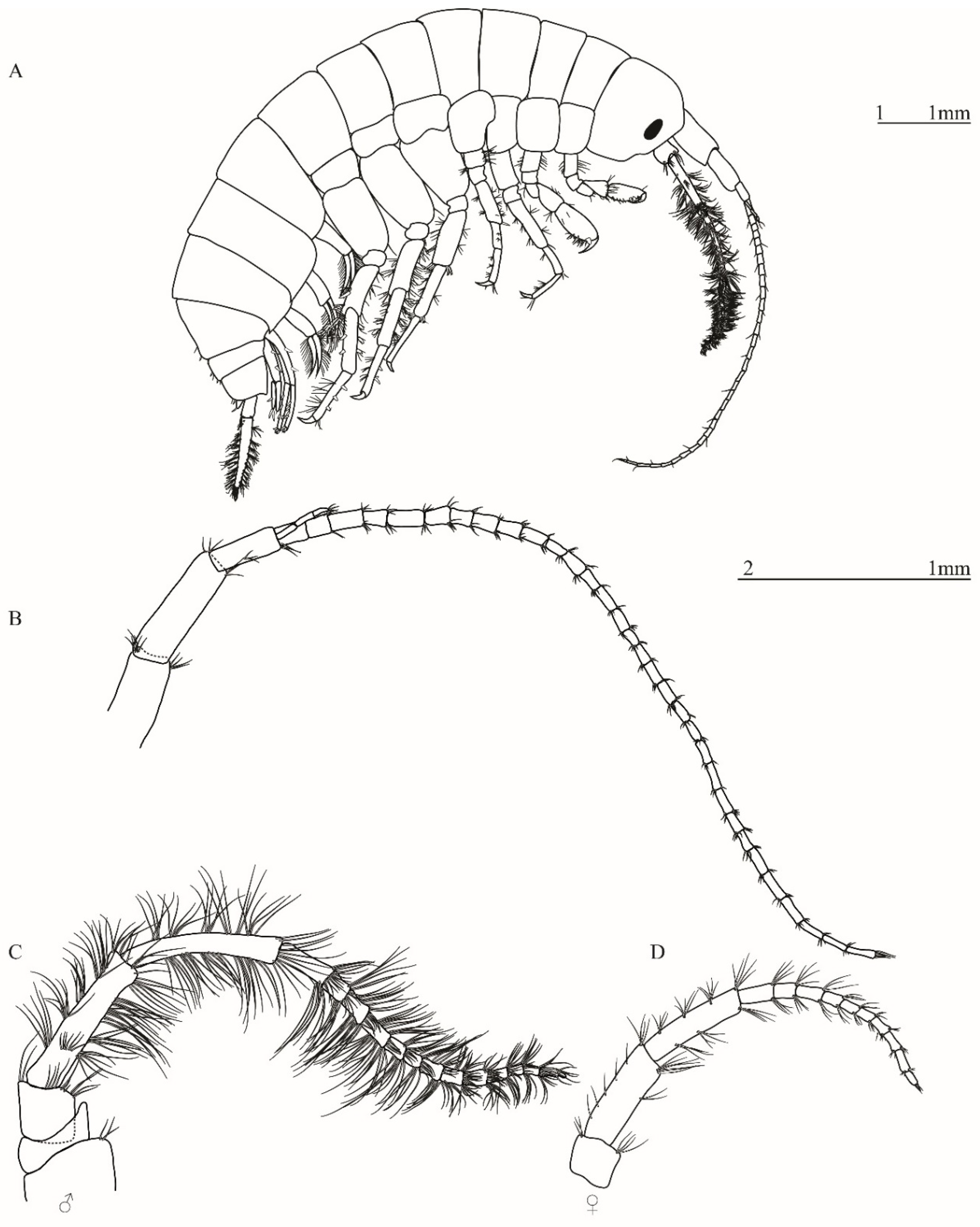 Taxonomy 01 00005 g003