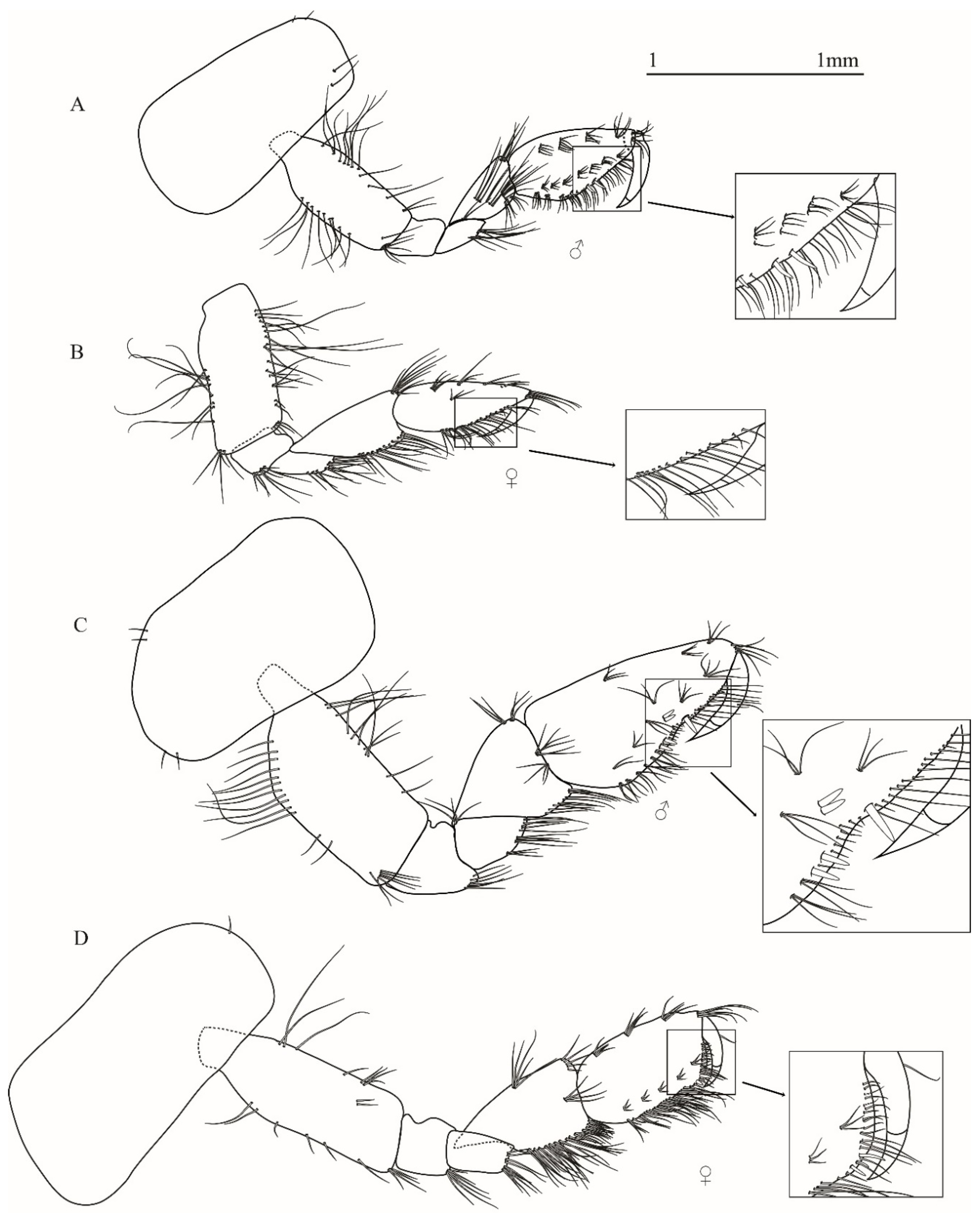 Taxonomy 01 00005 g005