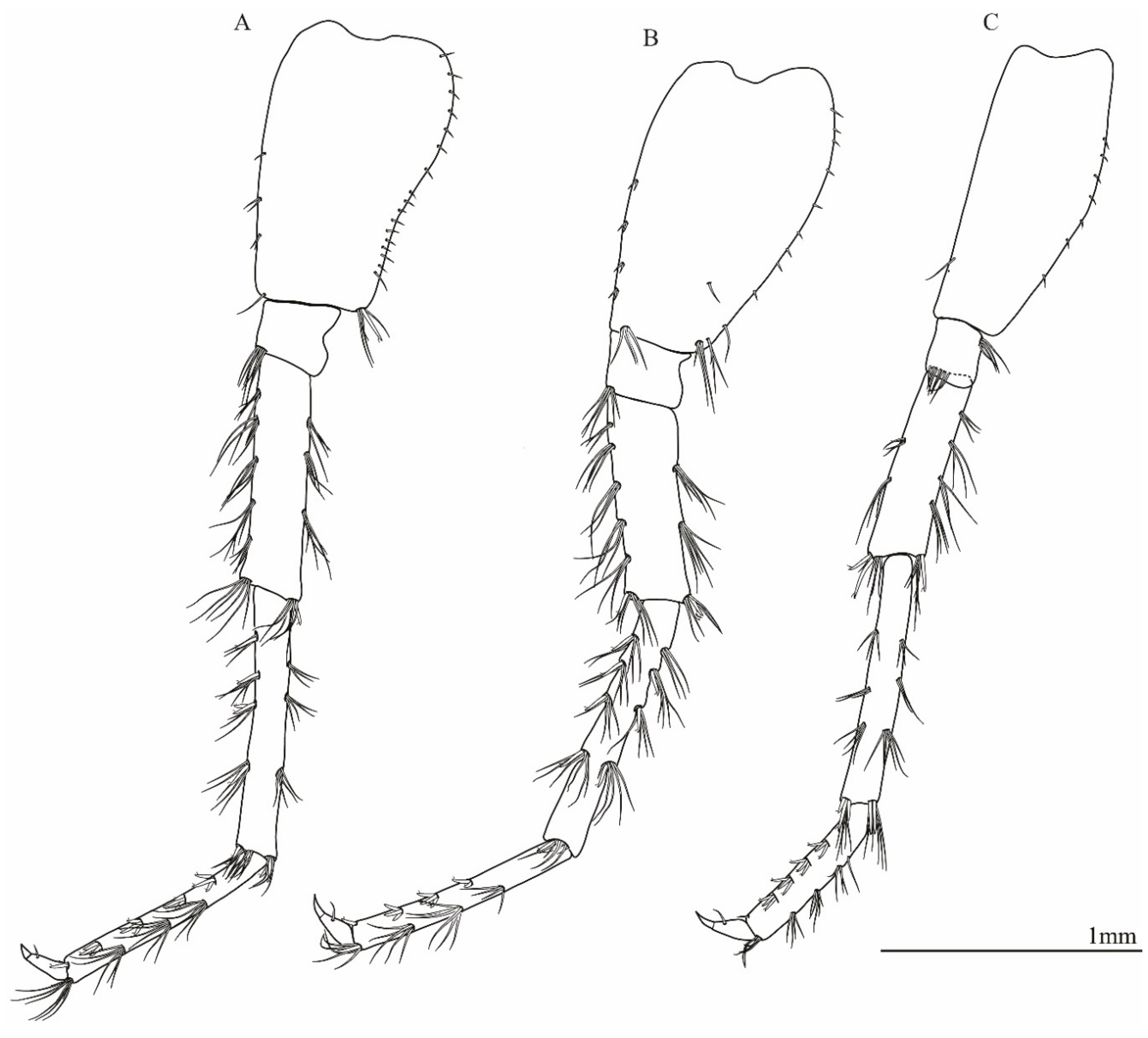 Taxonomy 01 00005 g007