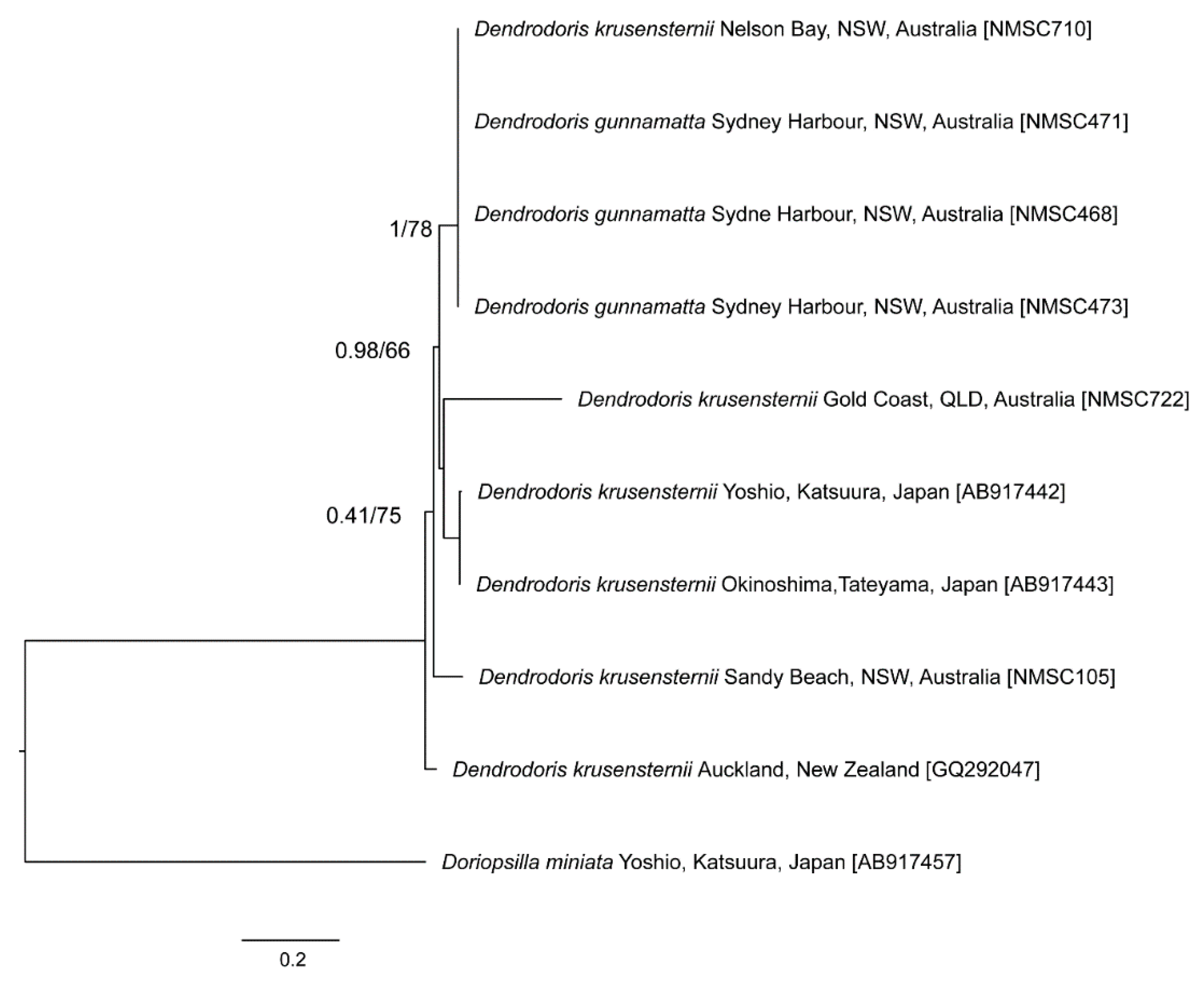 Taxonomy 01 00012 g002 Taxonomy 01 00012 g002