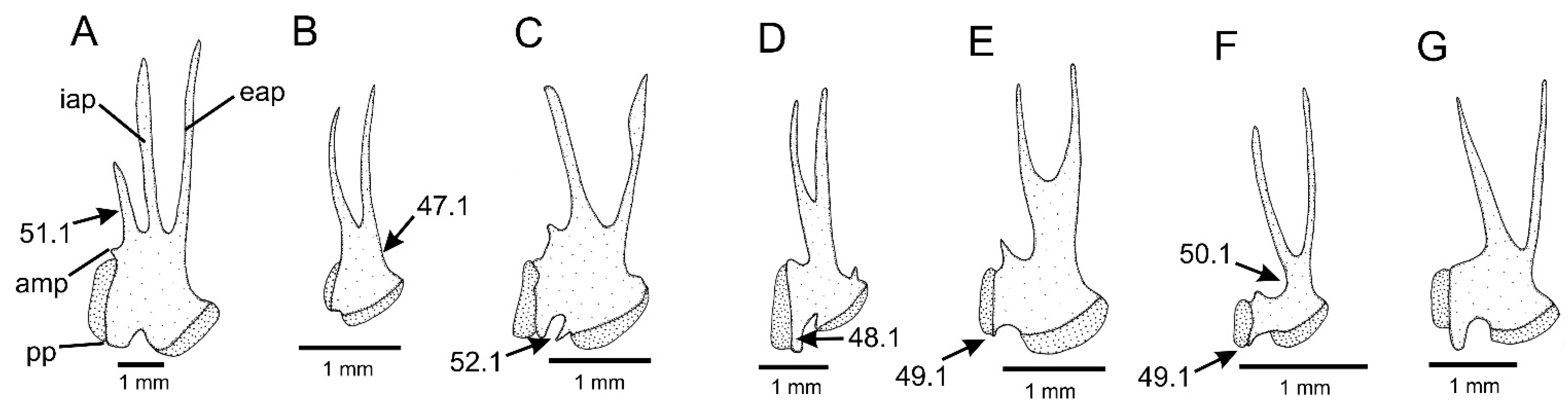 Taxonomy 01 00013 g006