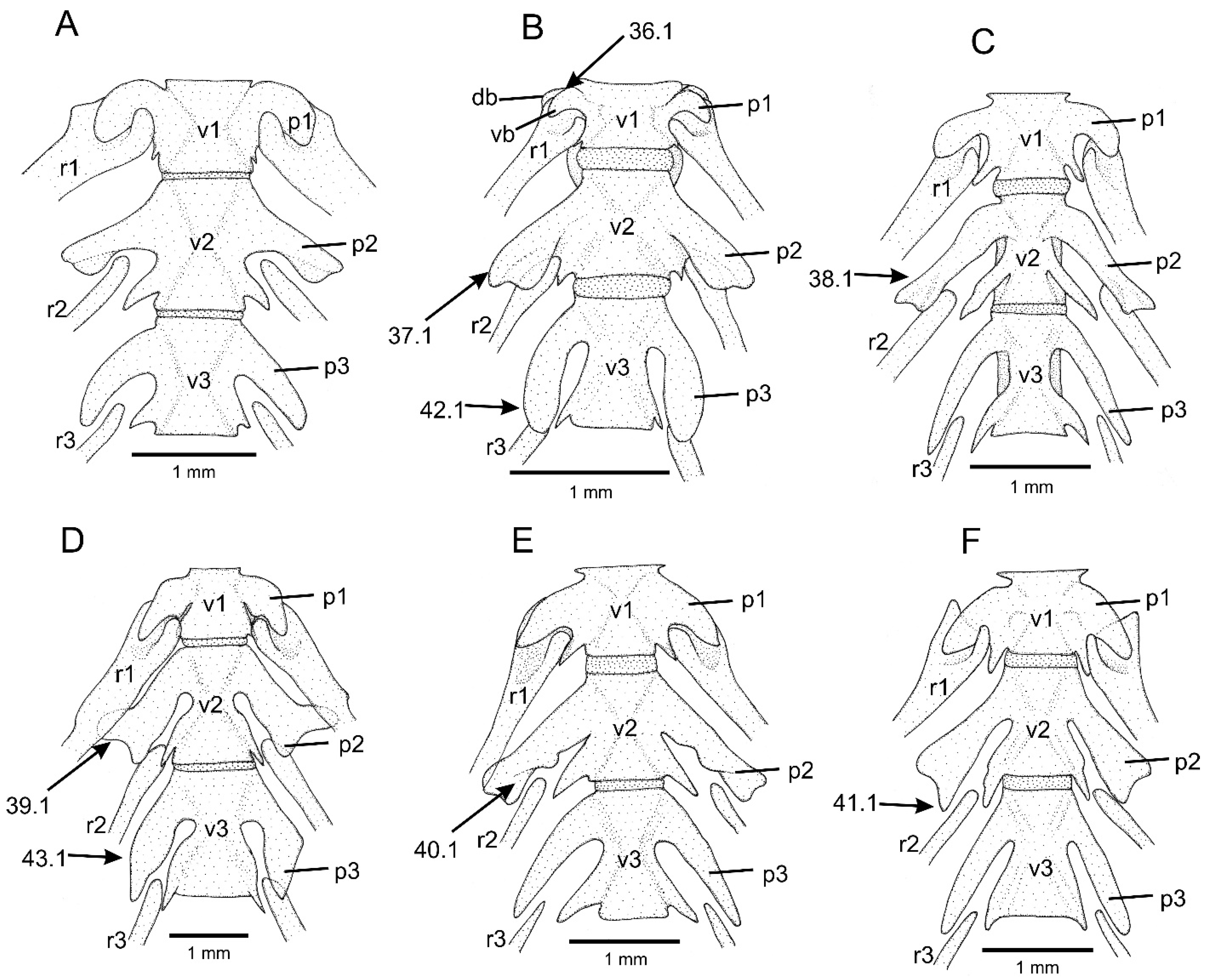 Taxonomy 01 00013 g007