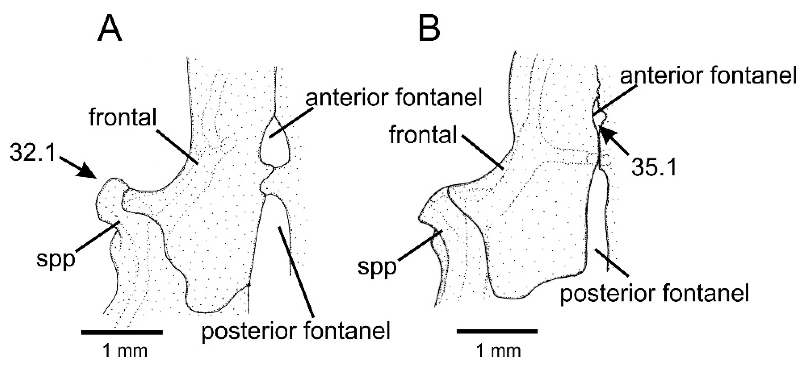 Taxonomy 01 00013 g008