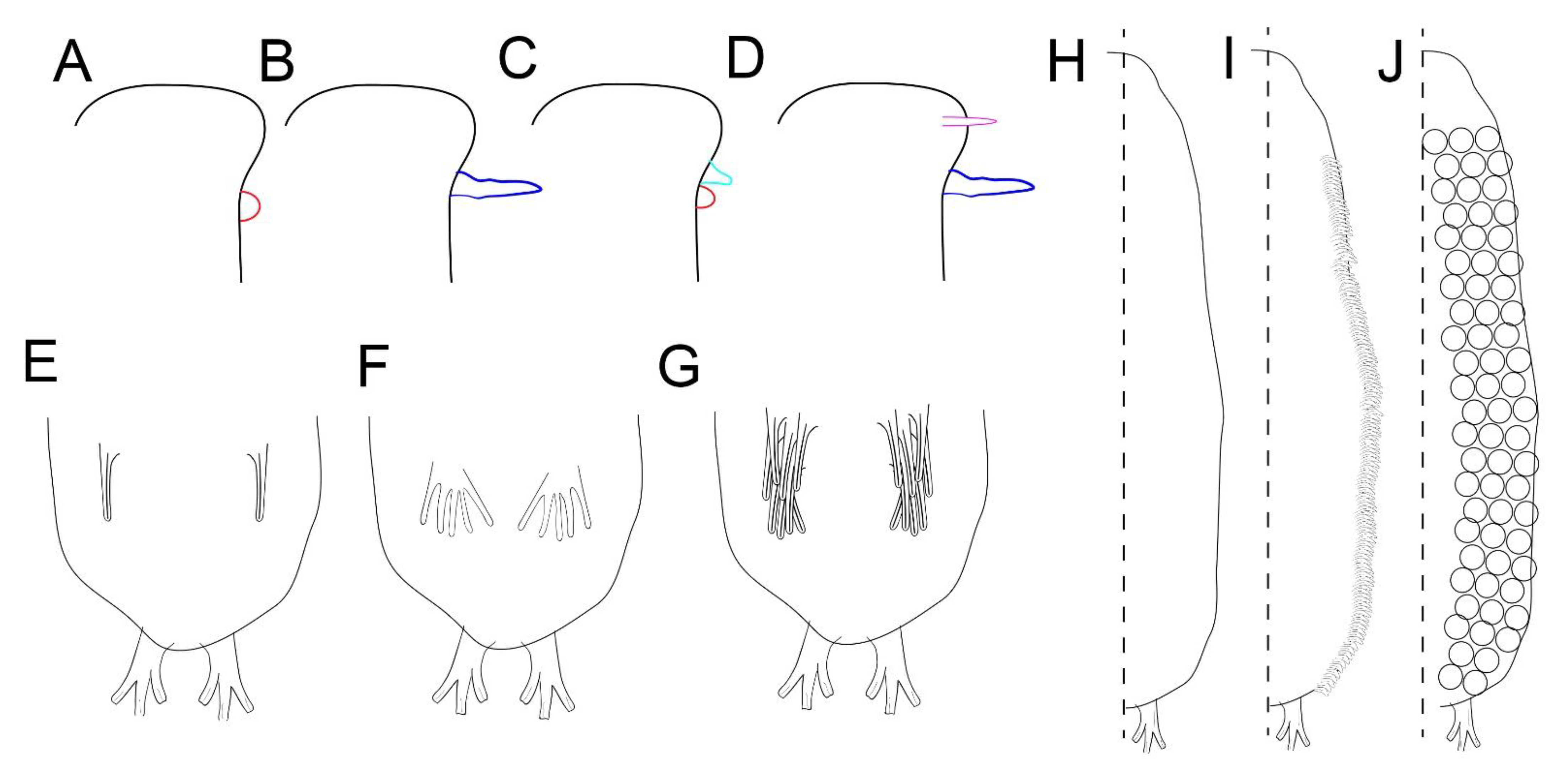 Taxonomy 01 00022 g001