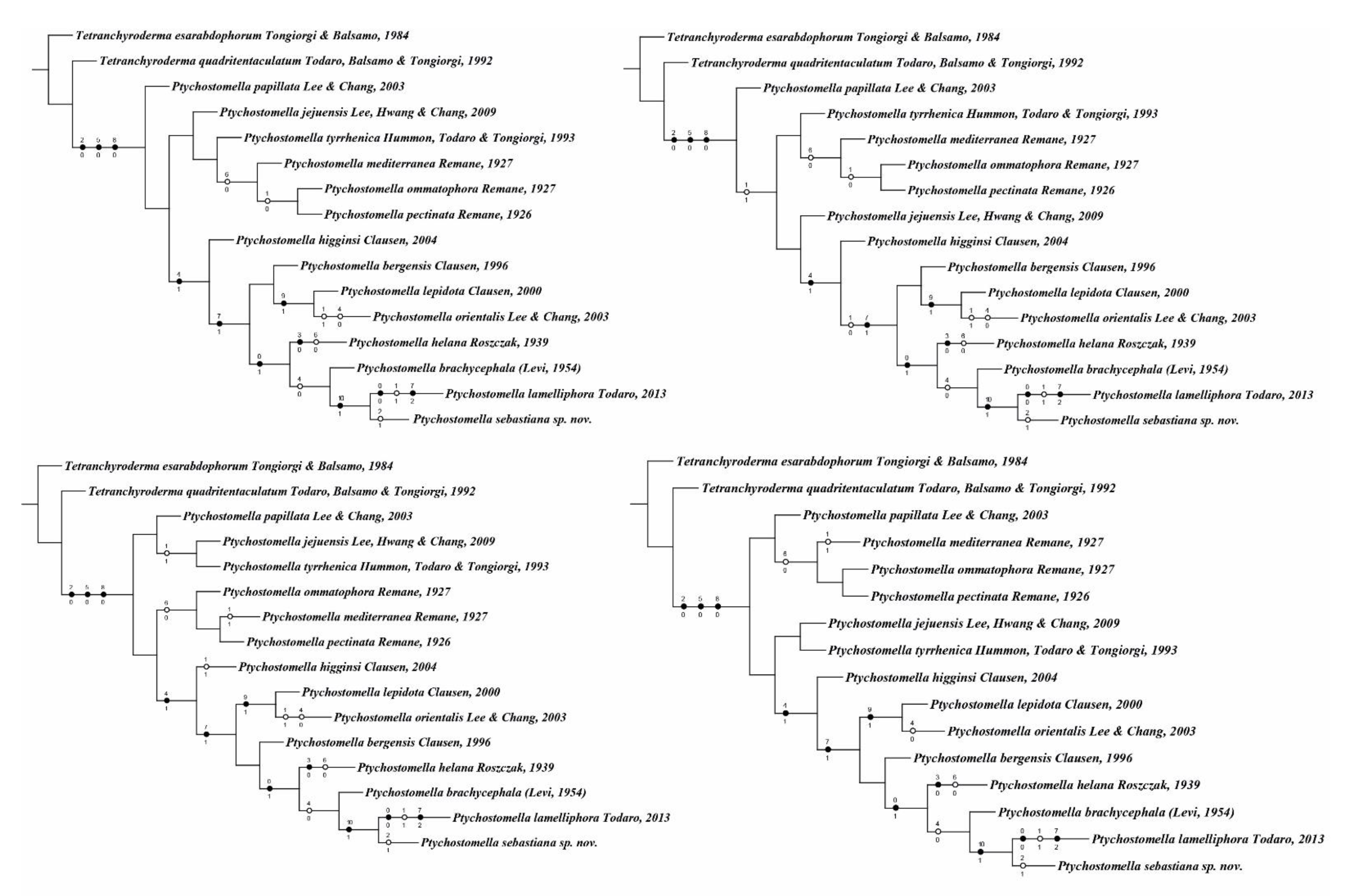 Taxonomy 01 00022 g005