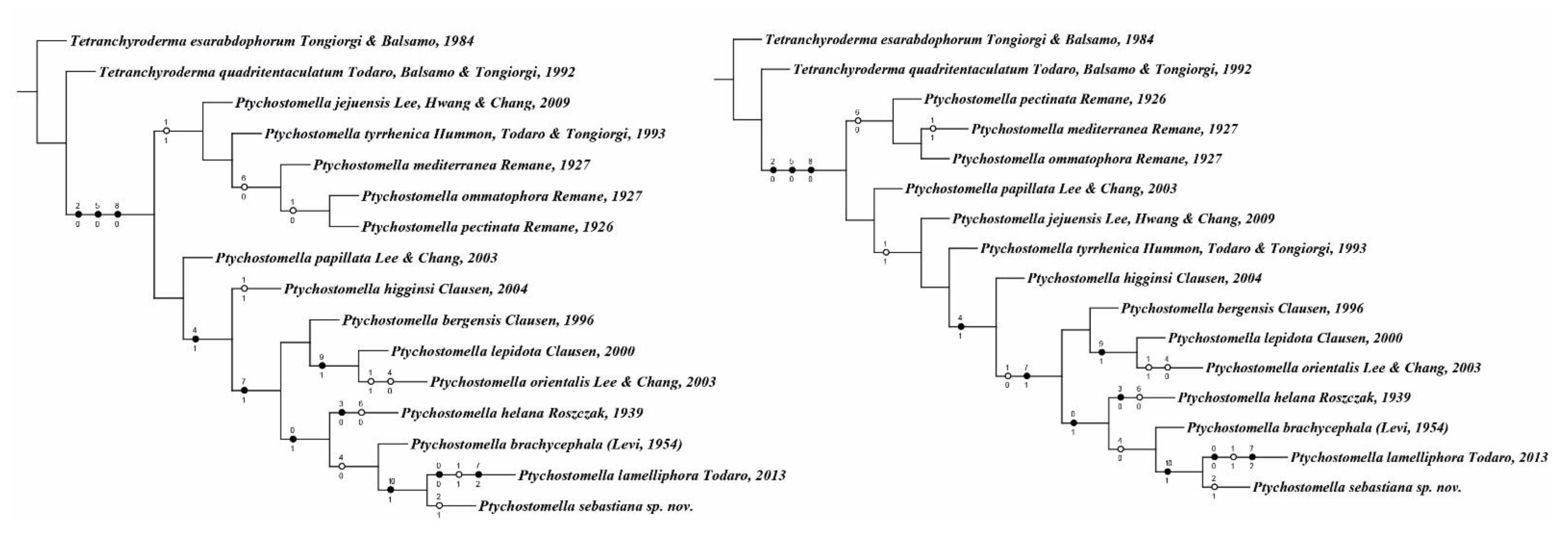 Taxonomy 01 00022 g006