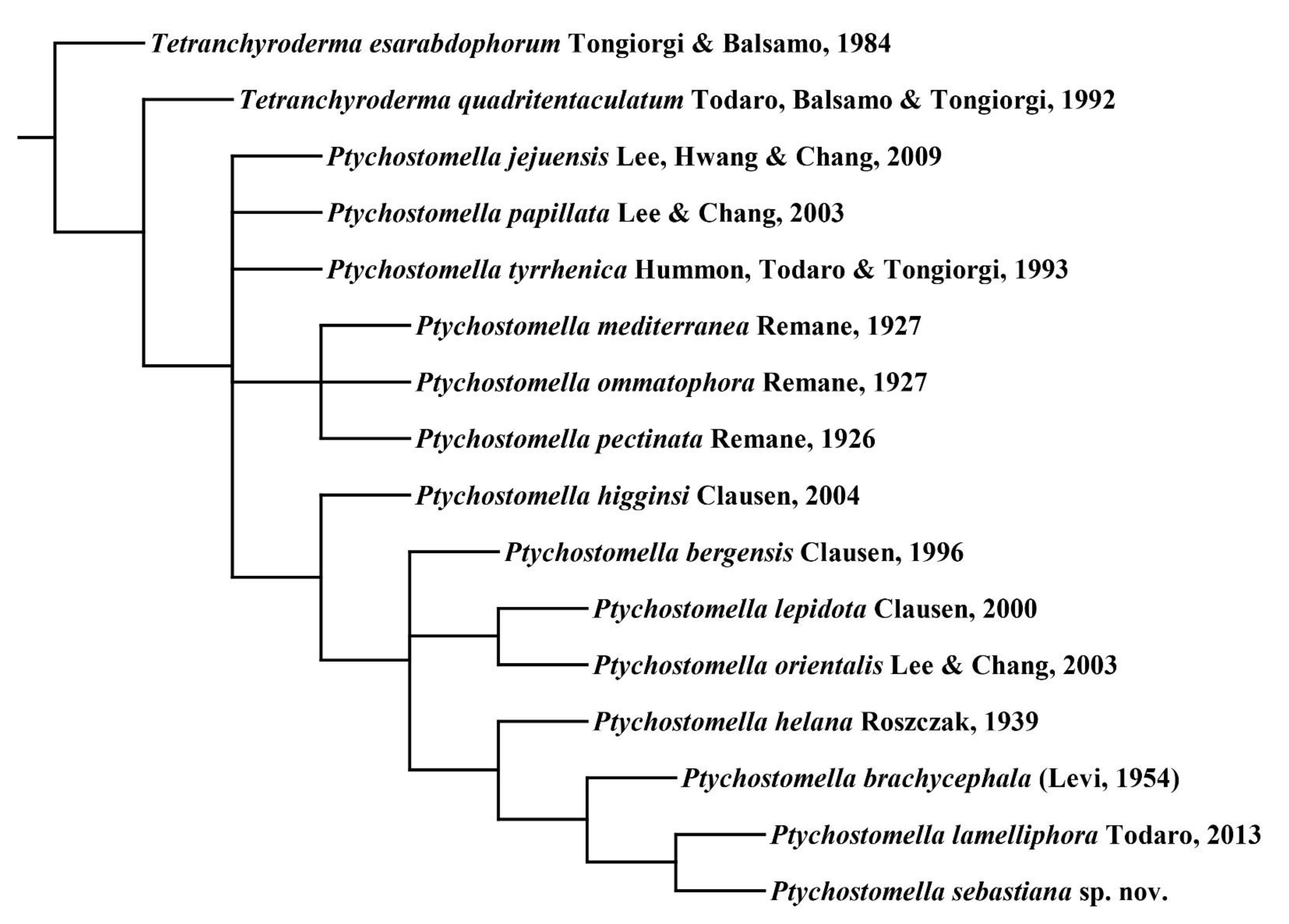 Taxonomy 01 00022 g007