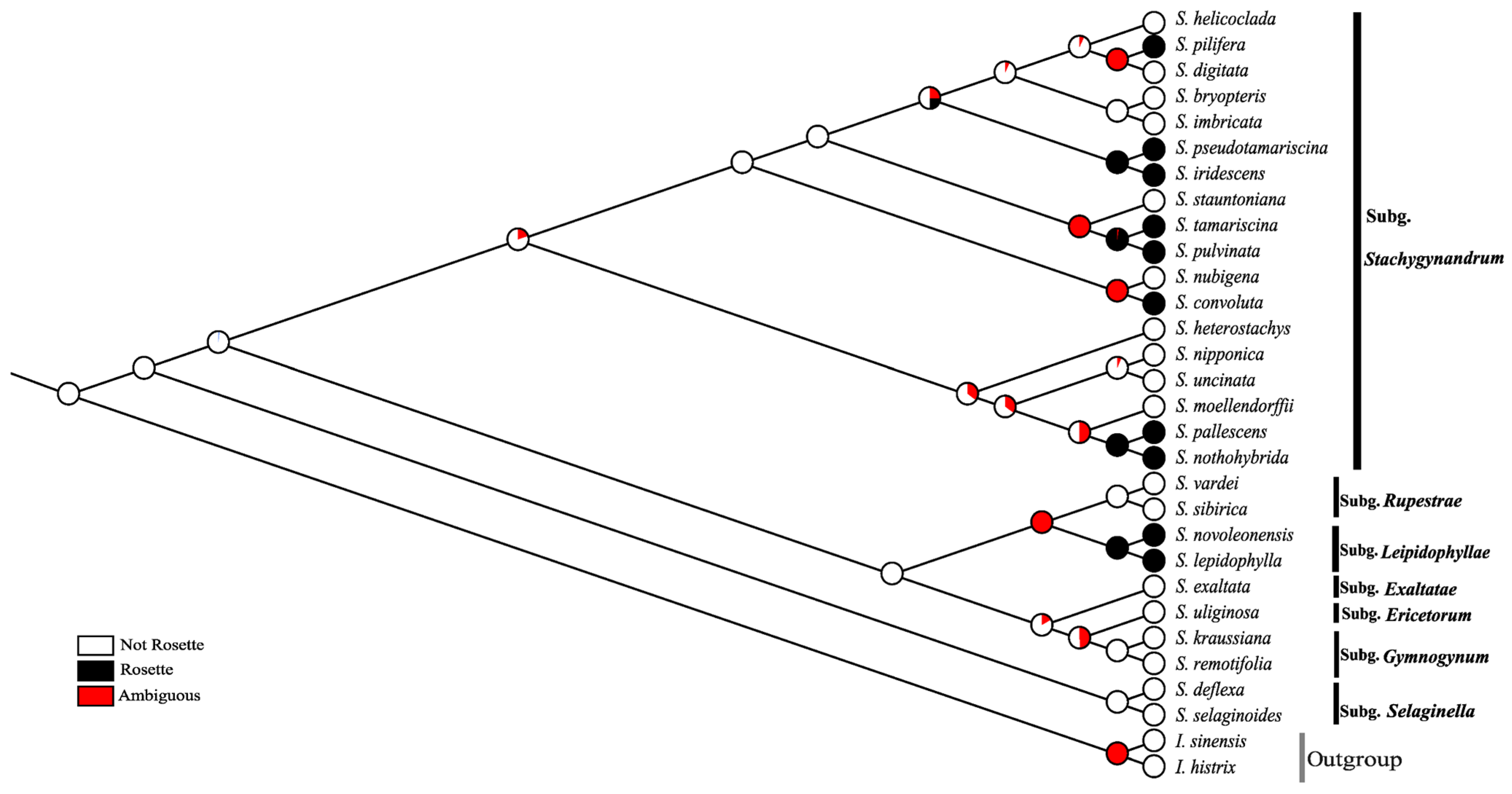 Taxonomy 01 00024 g006