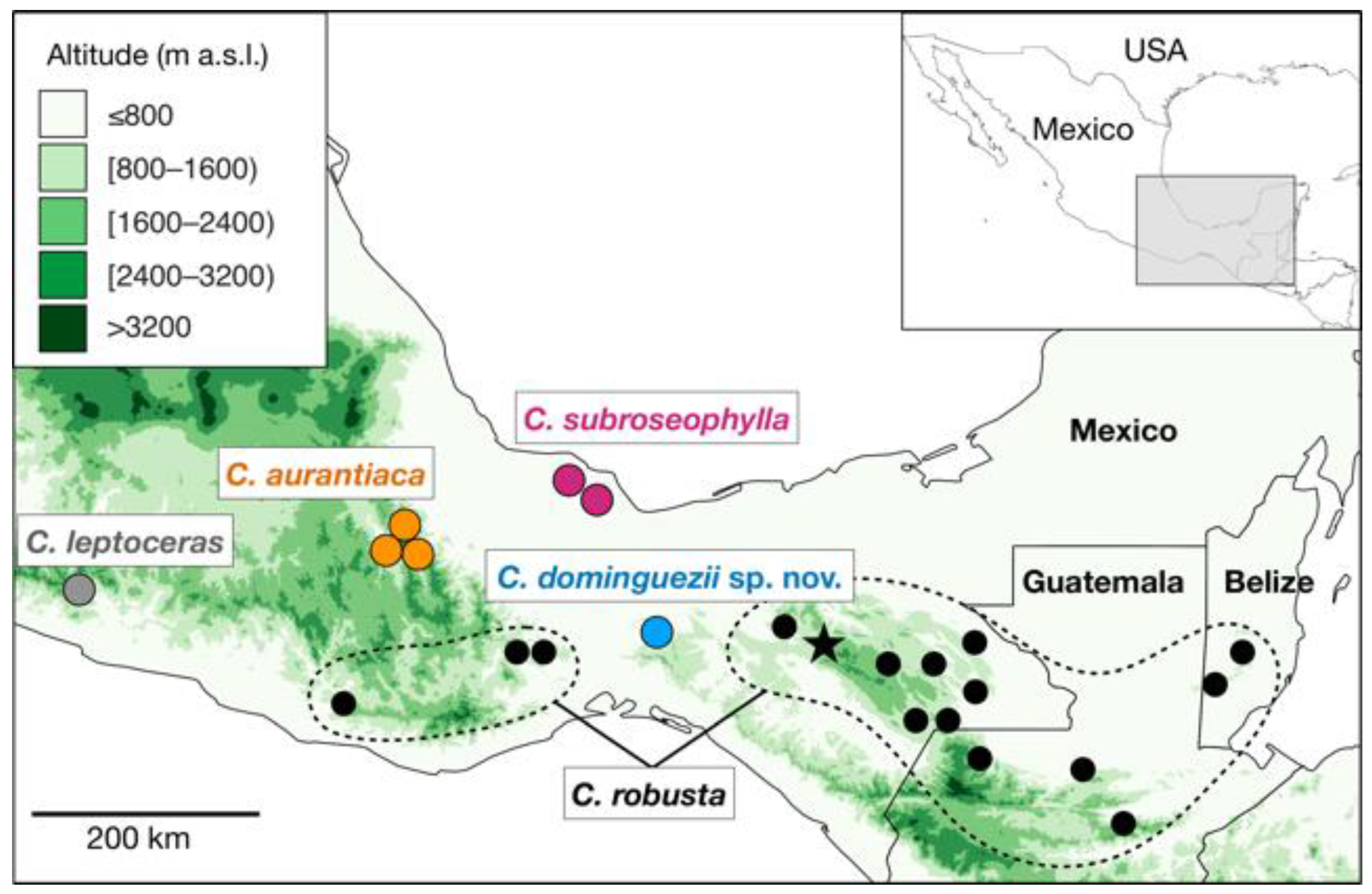 Taxonomy 01 00026 g001