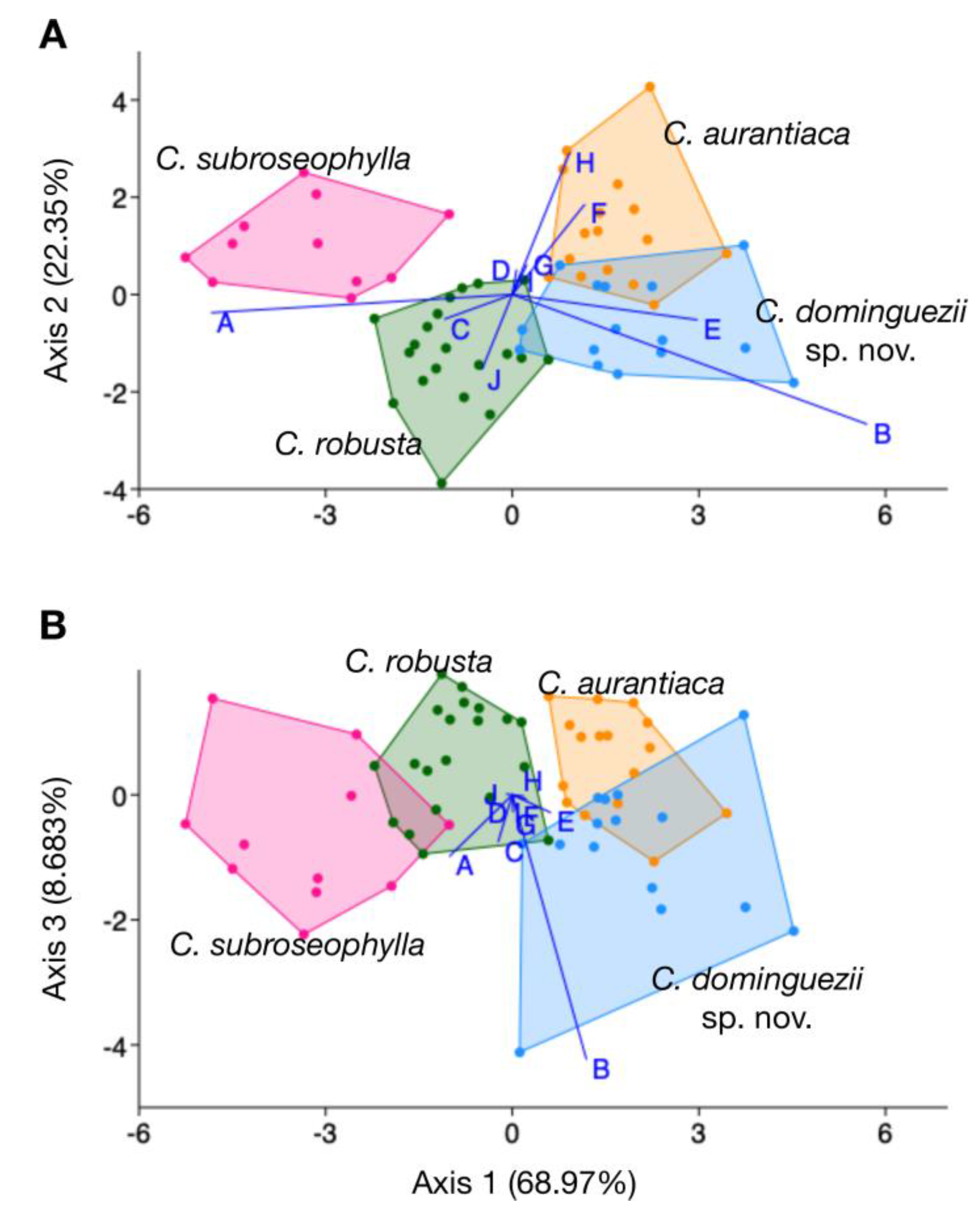 Taxonomy 01 00026 g004