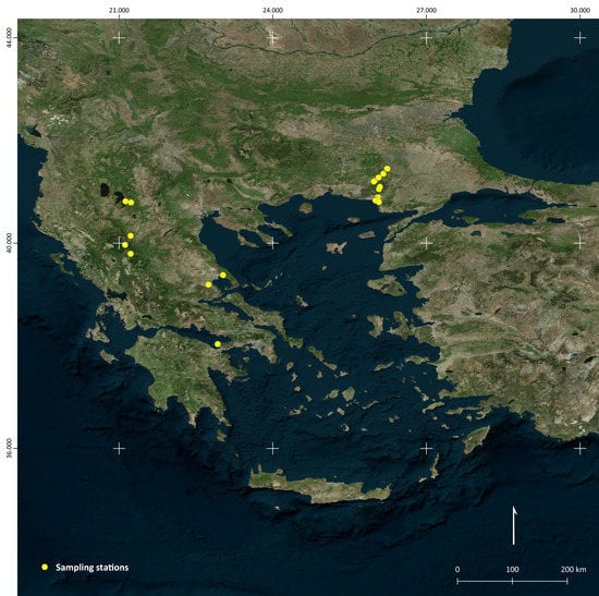 Taxonomy 01 00028 g001 550