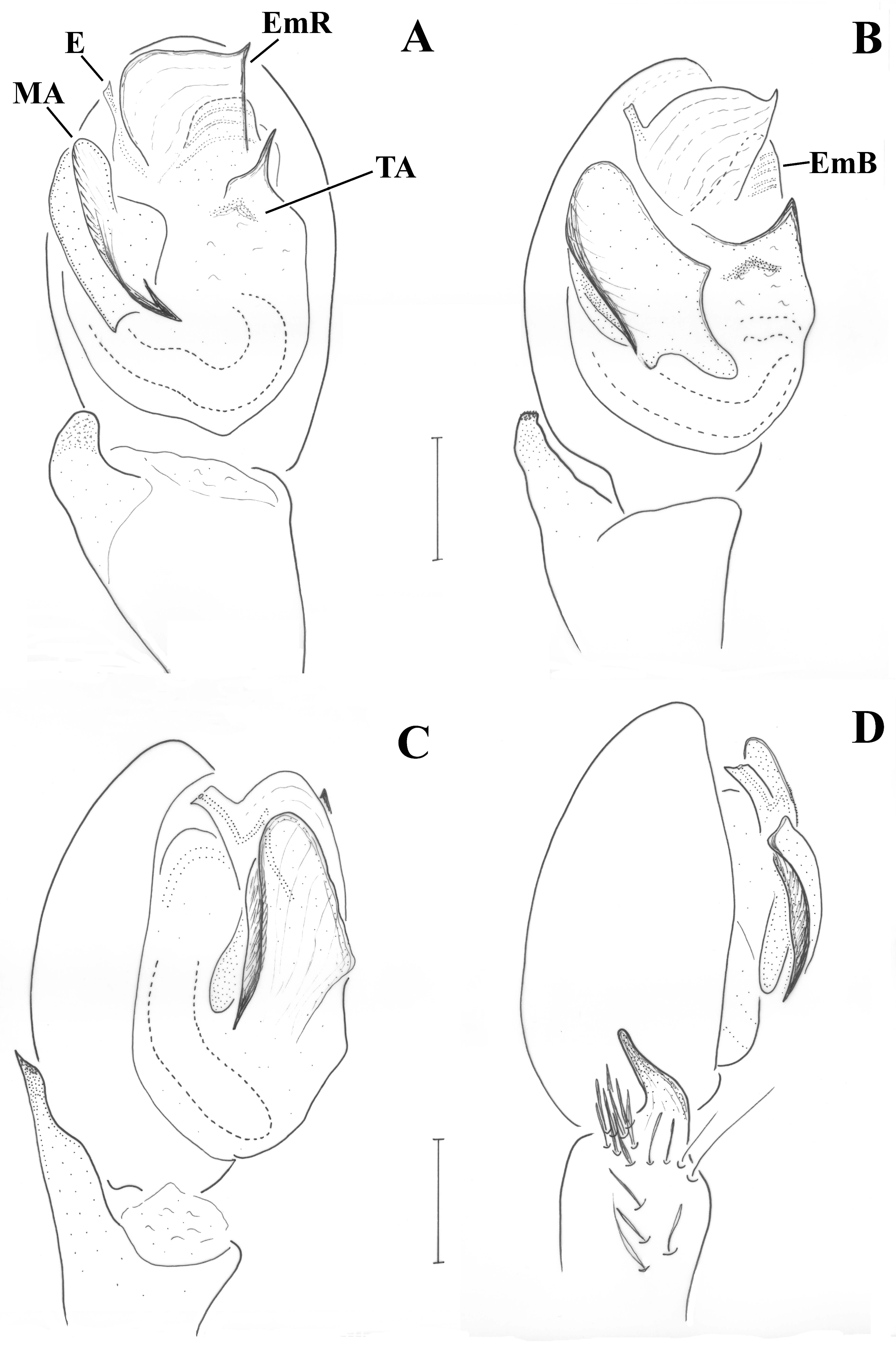 Taxonomy 01 00028 g002