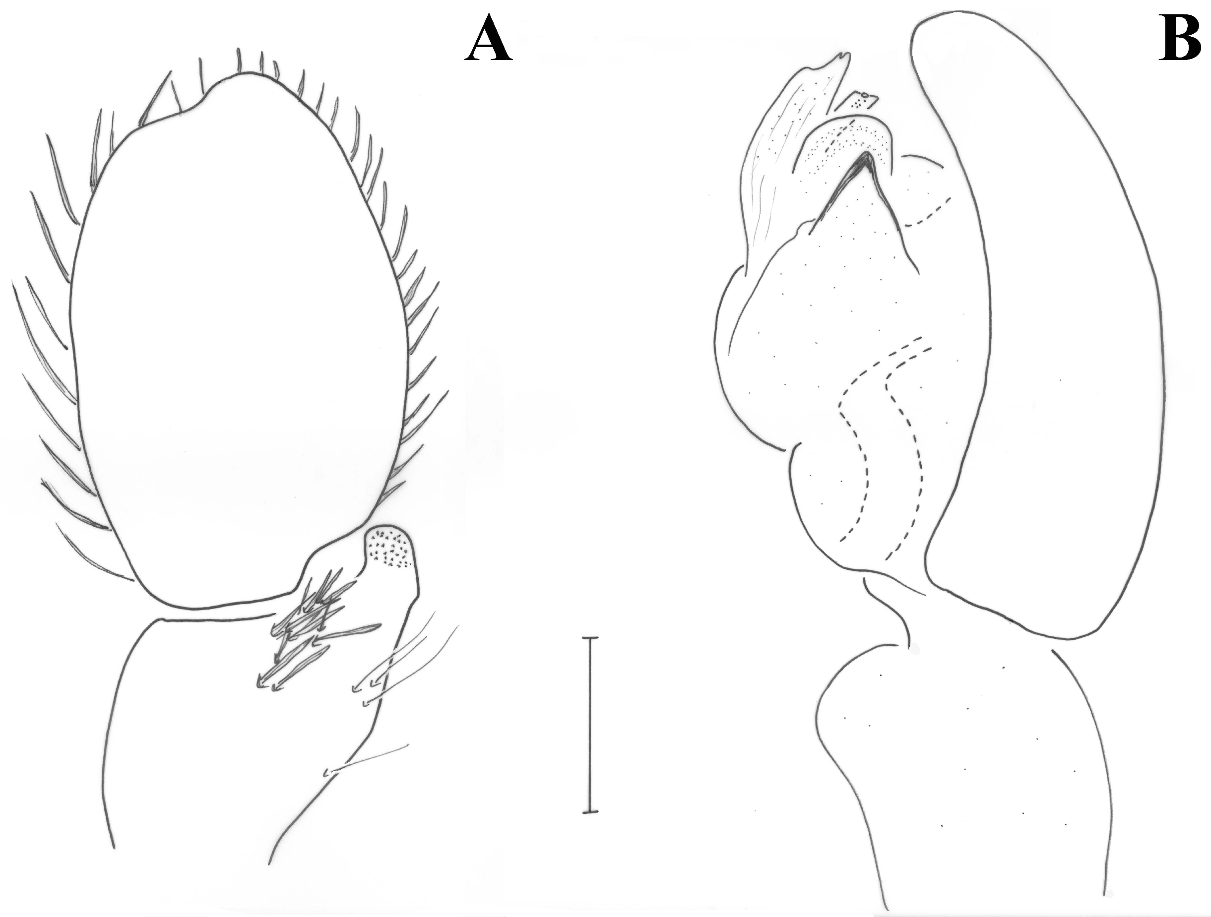 Taxonomy 01 00028 g003