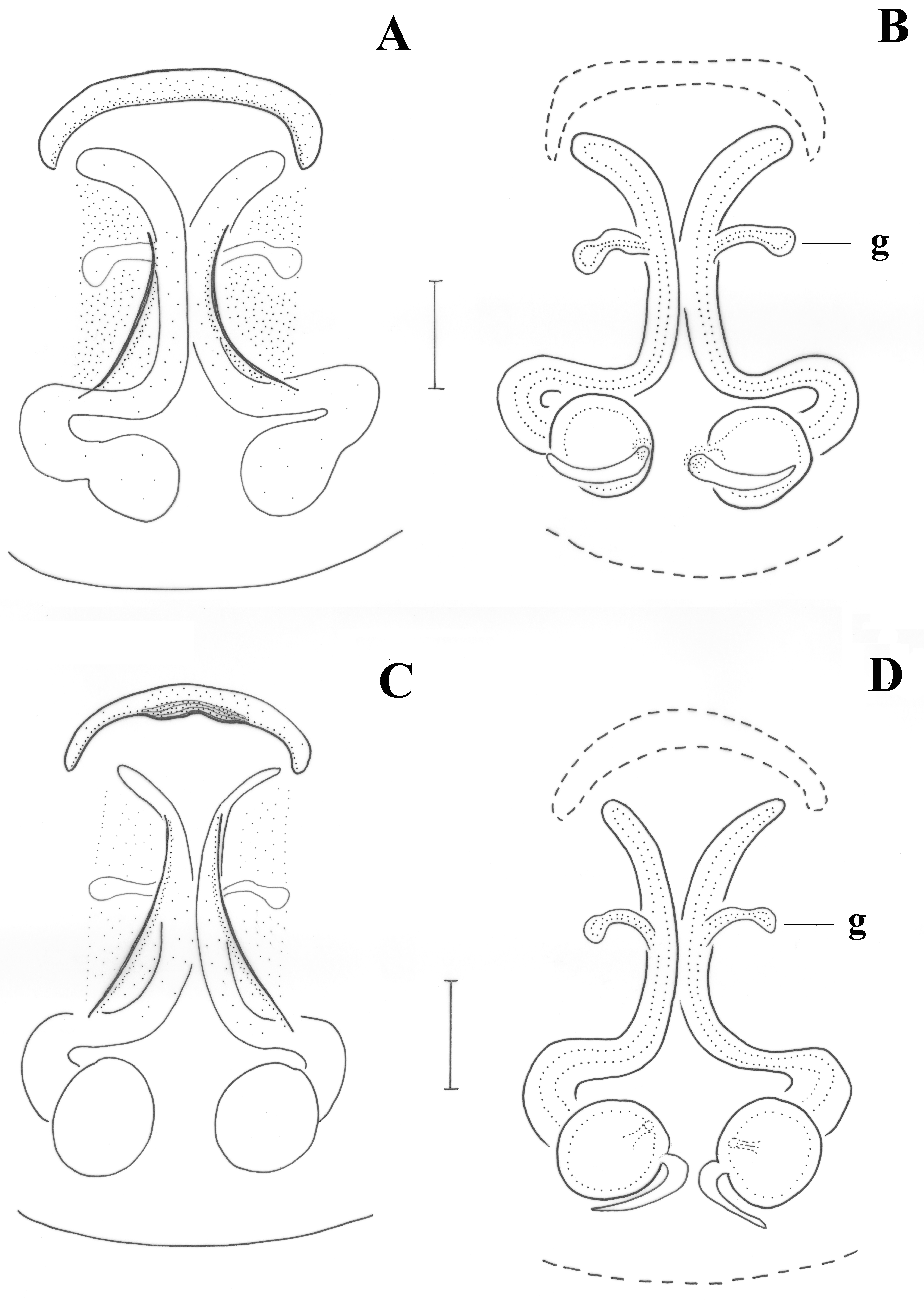 Taxonomy 01 00028 g007