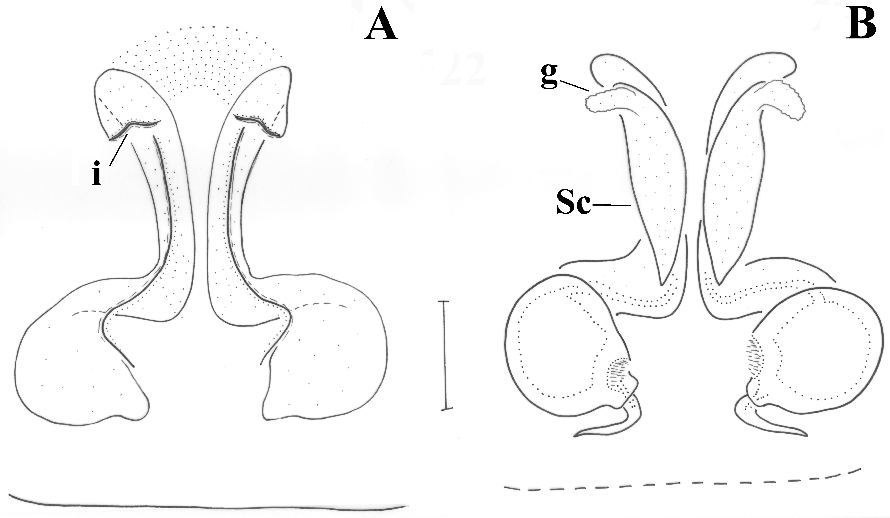 Taxonomy 01 00028 g008