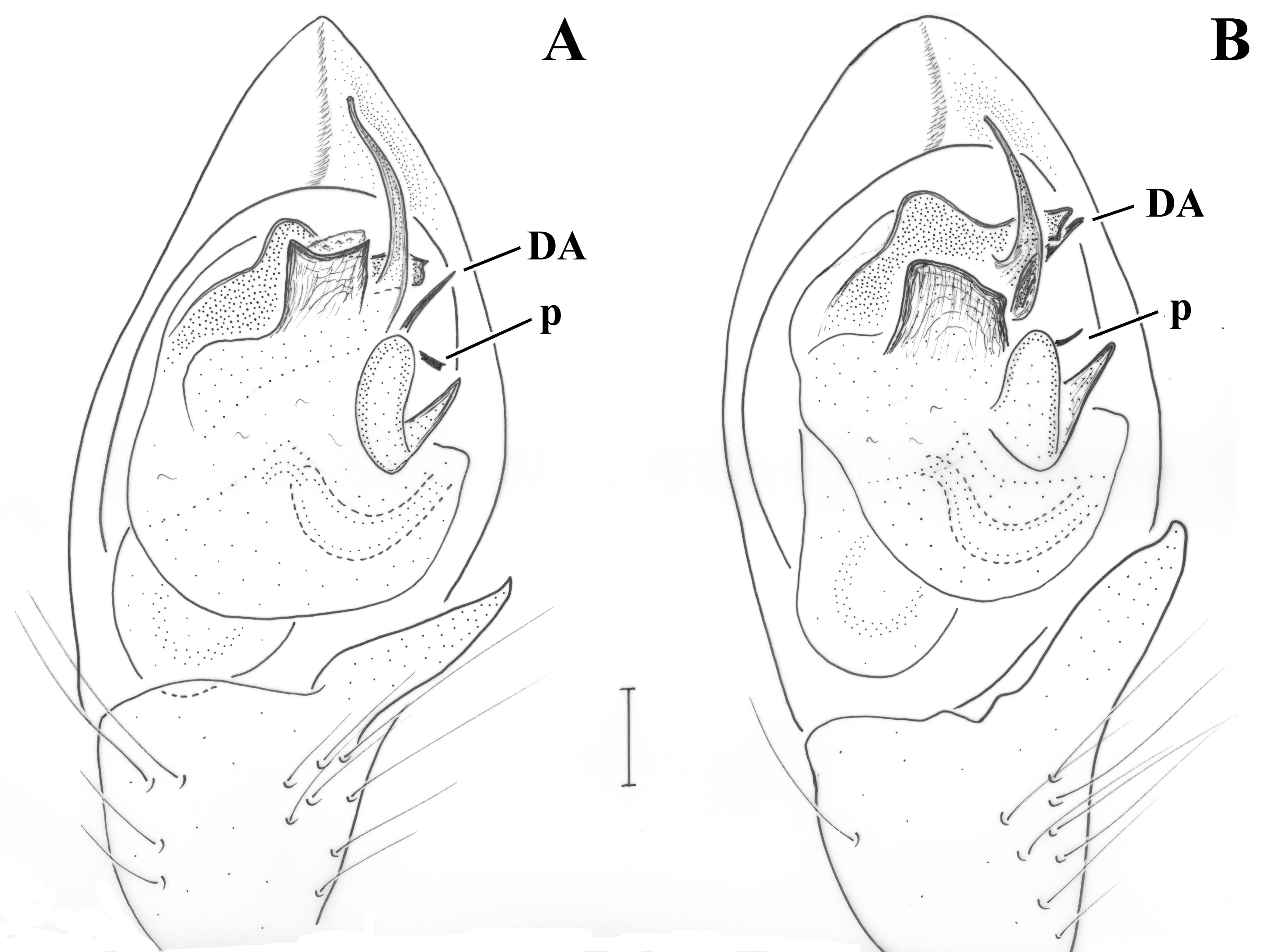 Taxonomy 01 00028 g009