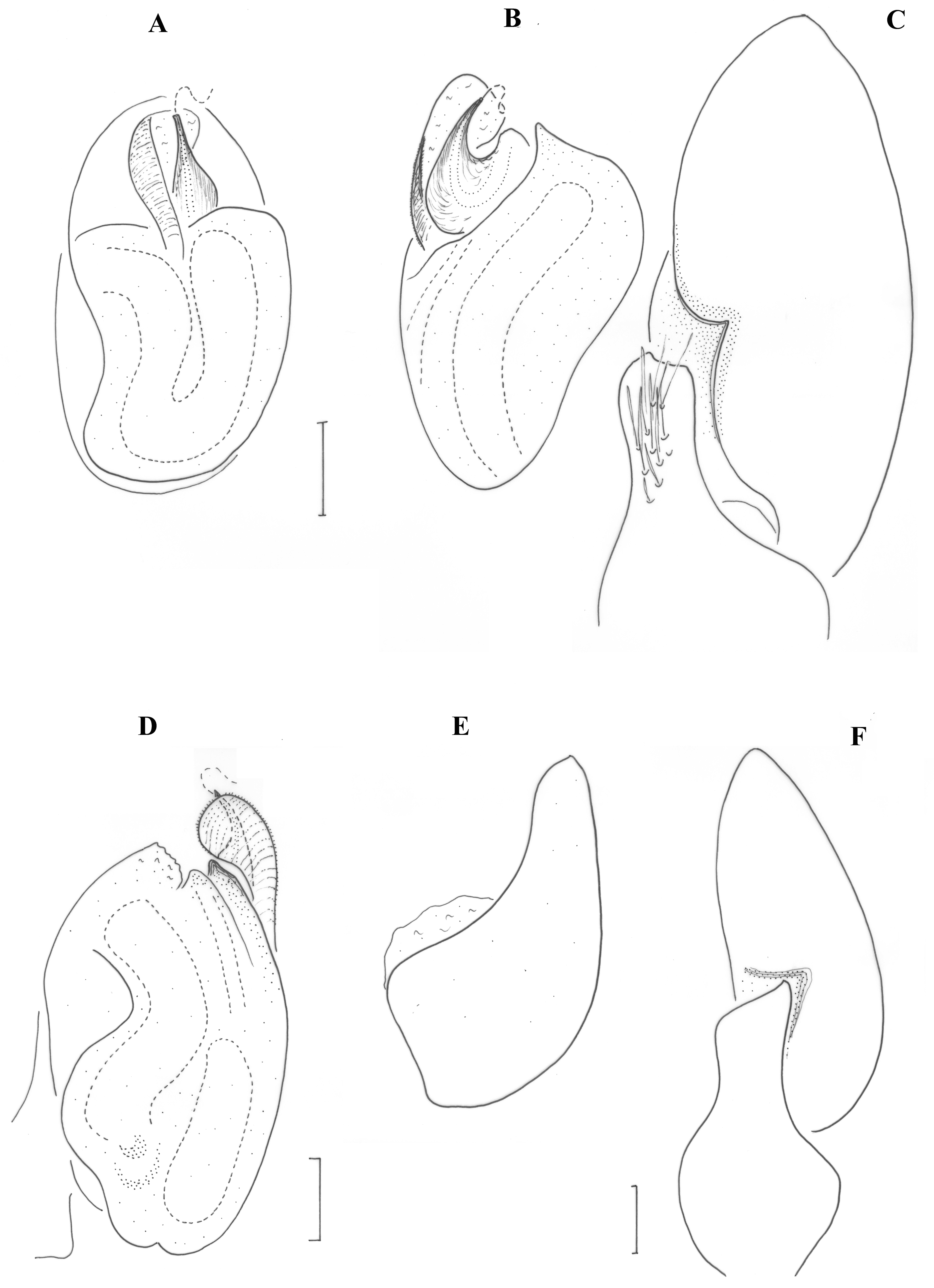Taxonomy 01 00028 g013