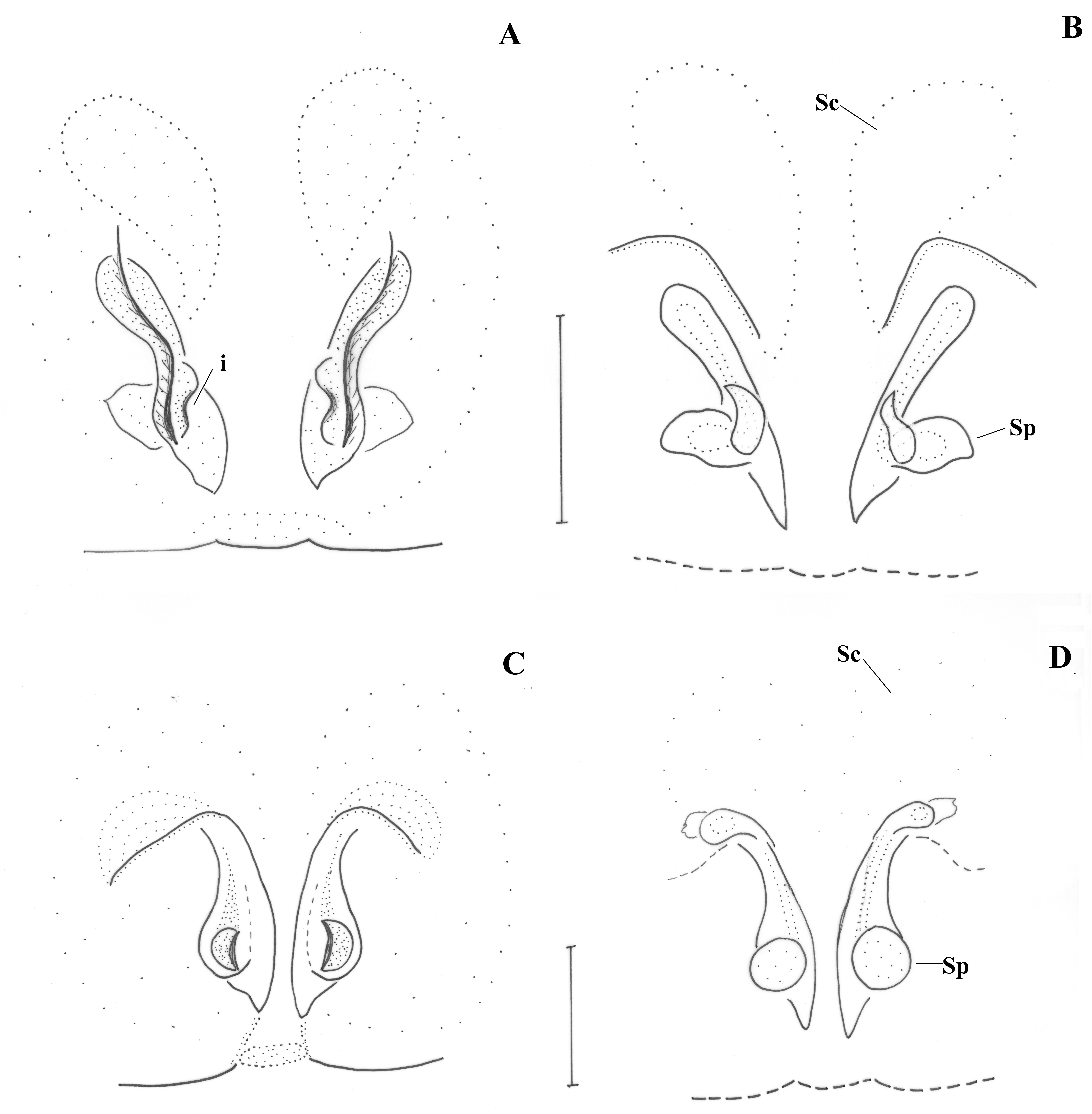 Taxonomy 01 00028 g015