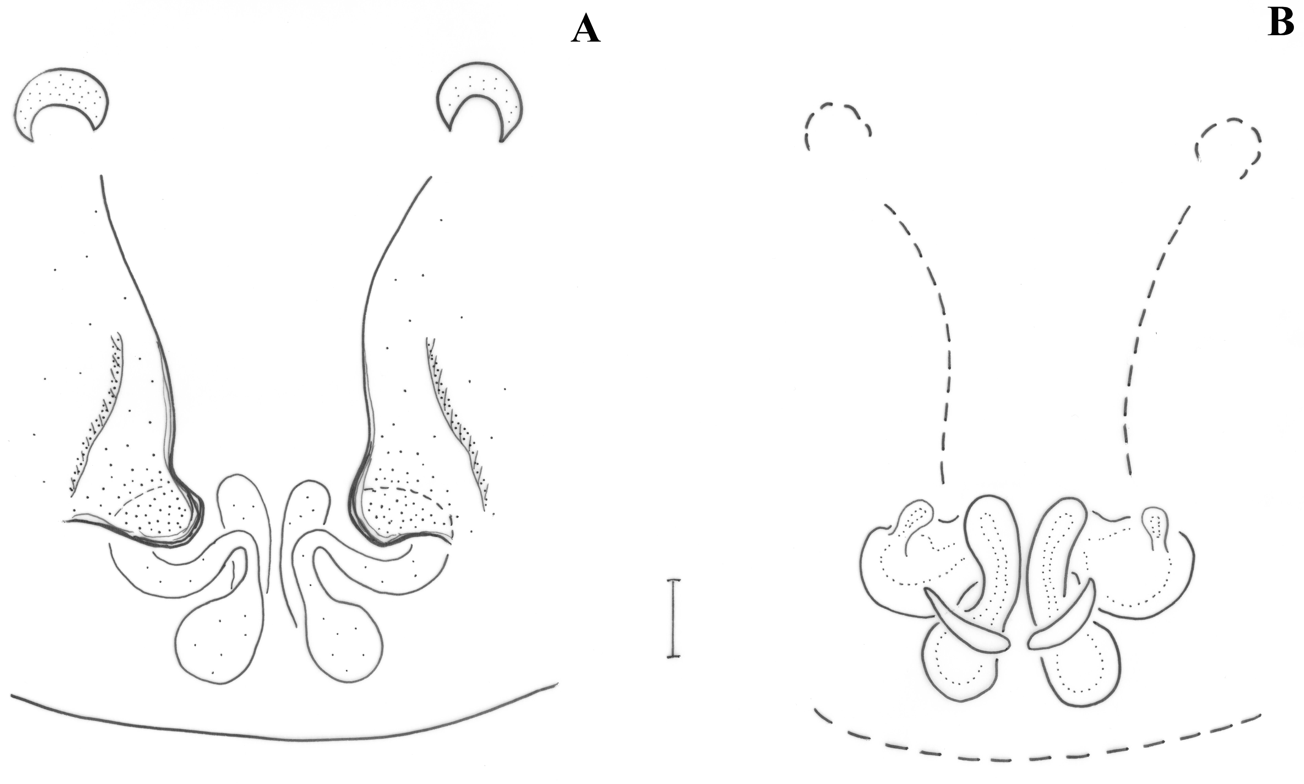 Taxonomy 01 00028 g017