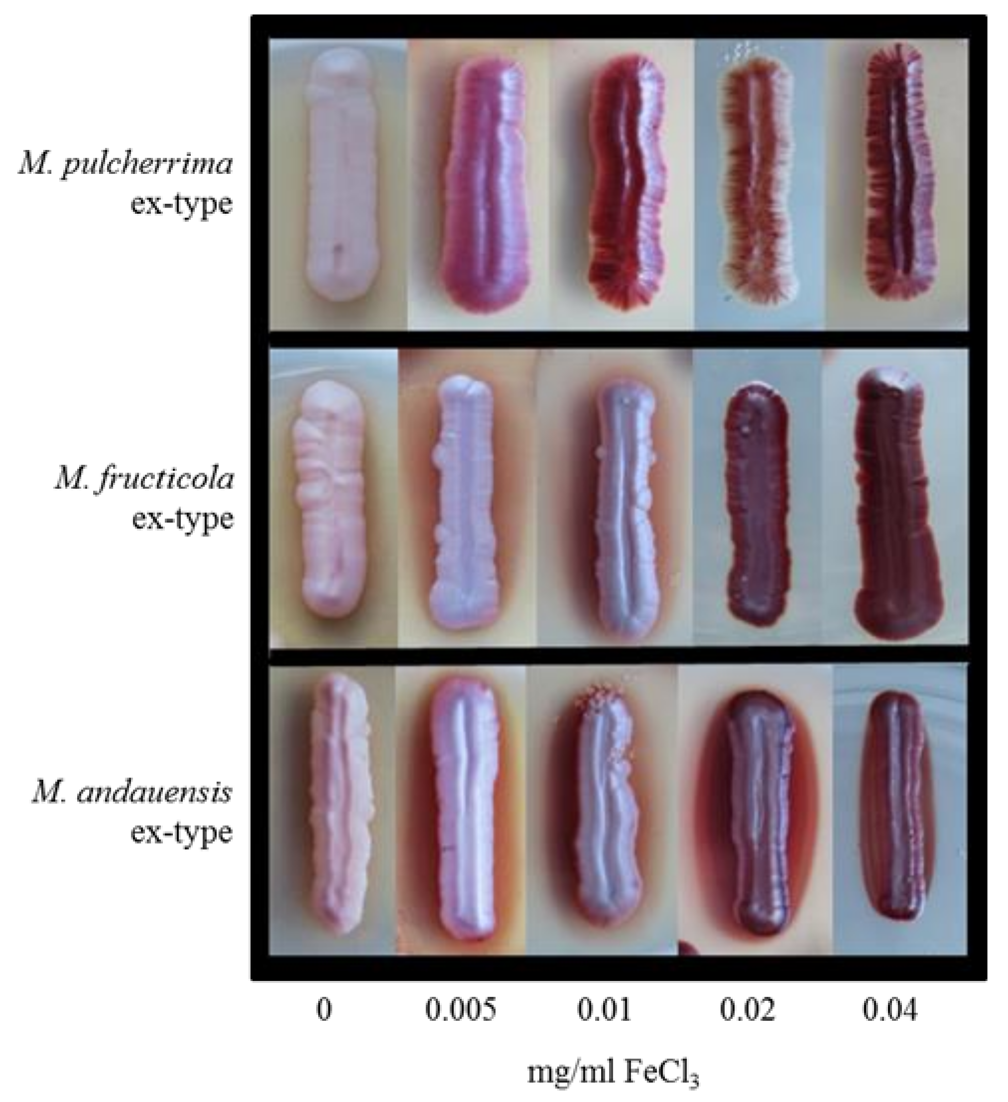 Taxonomy 02 00009 g002