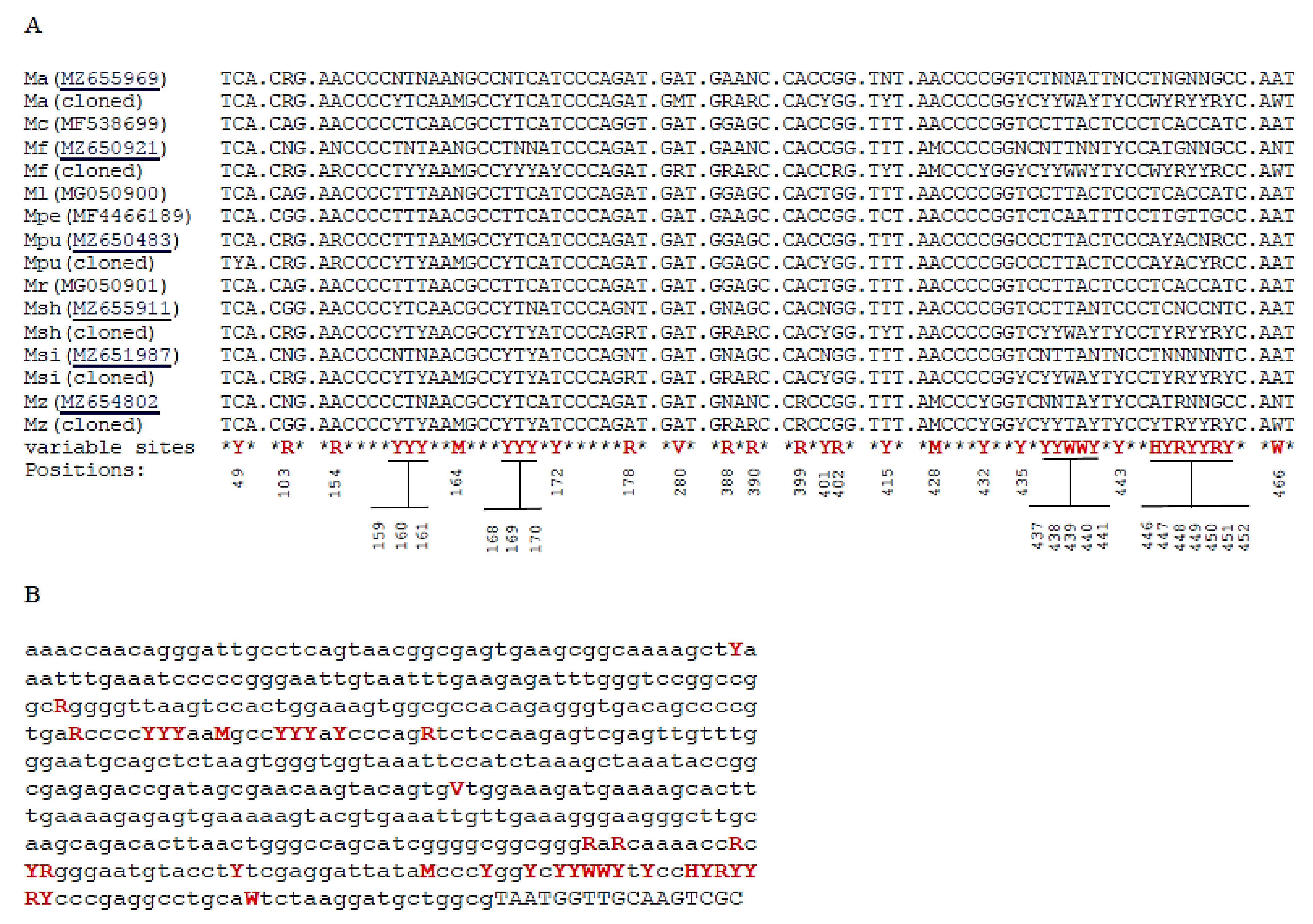 Taxonomy 02 00009 g004