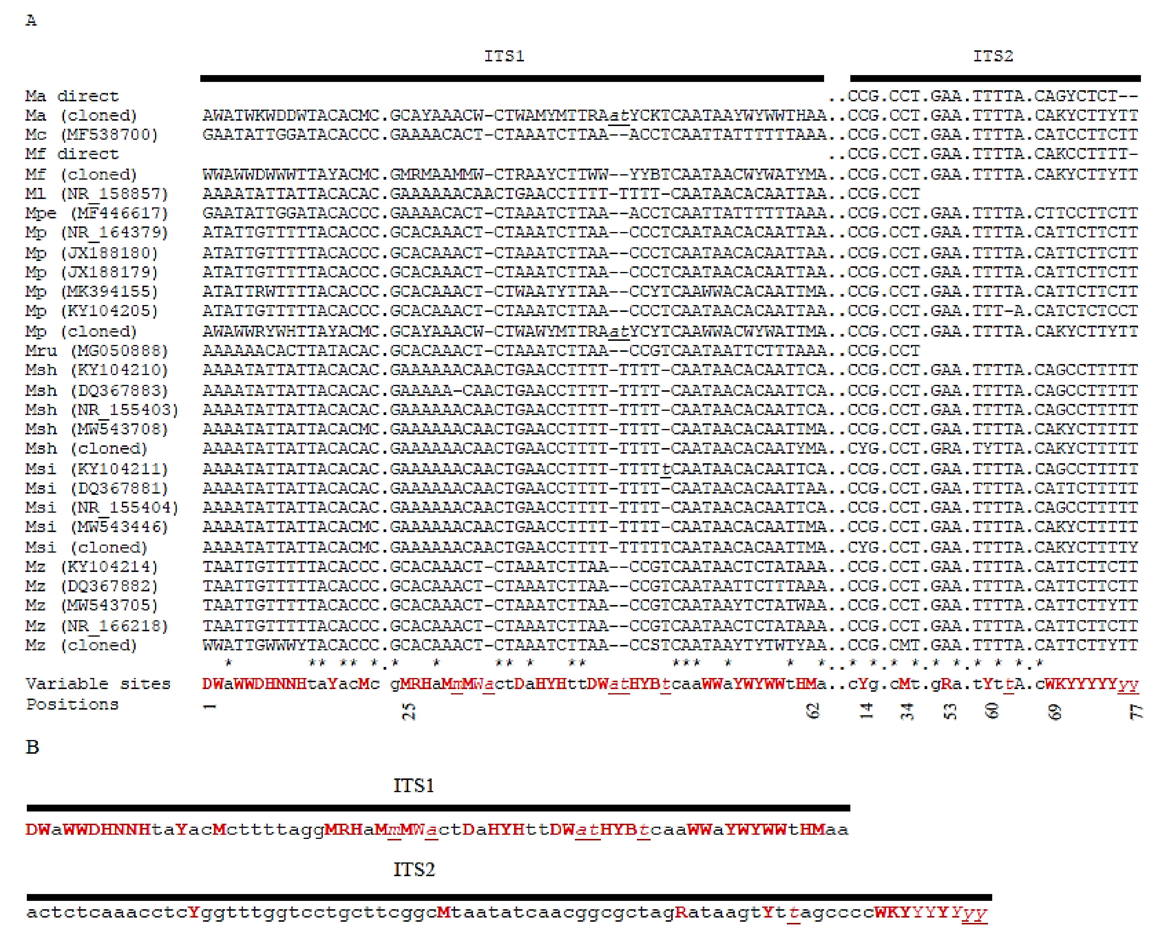 Taxonomy 02 00009 g005