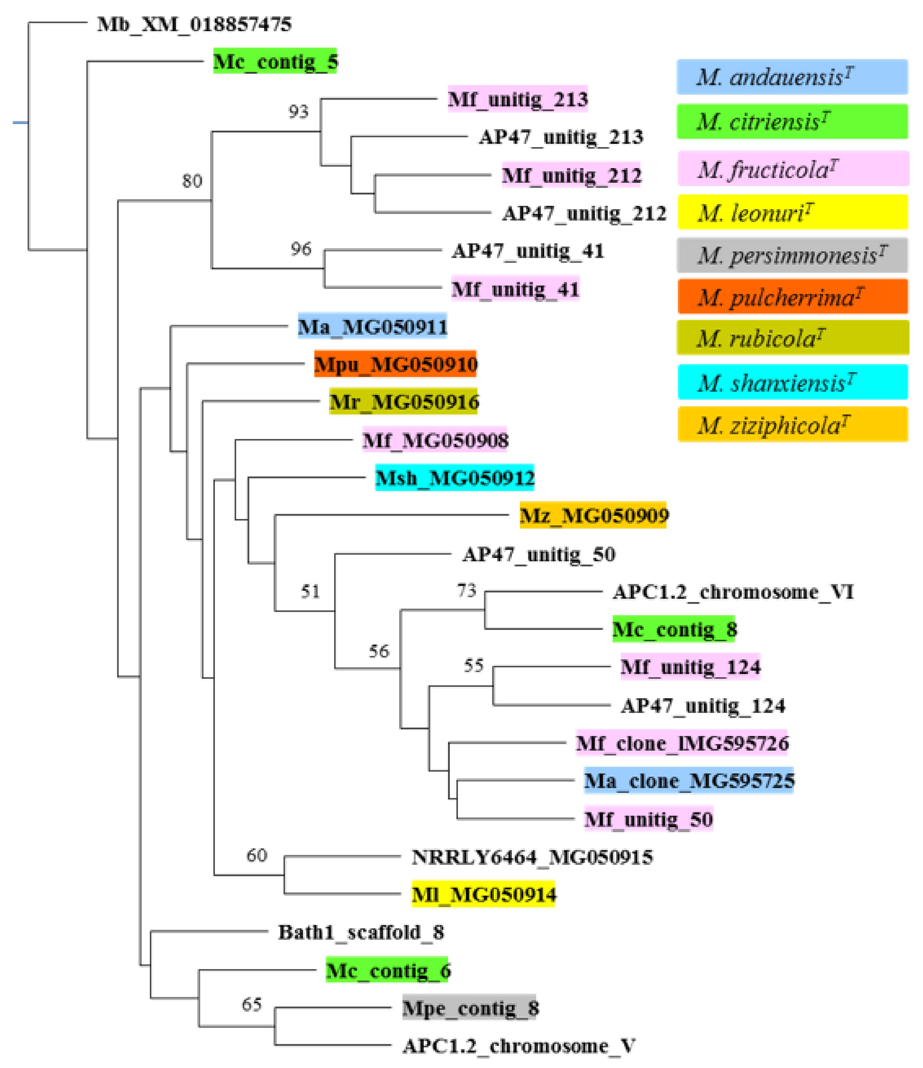 Taxonomy 02 00009 g006