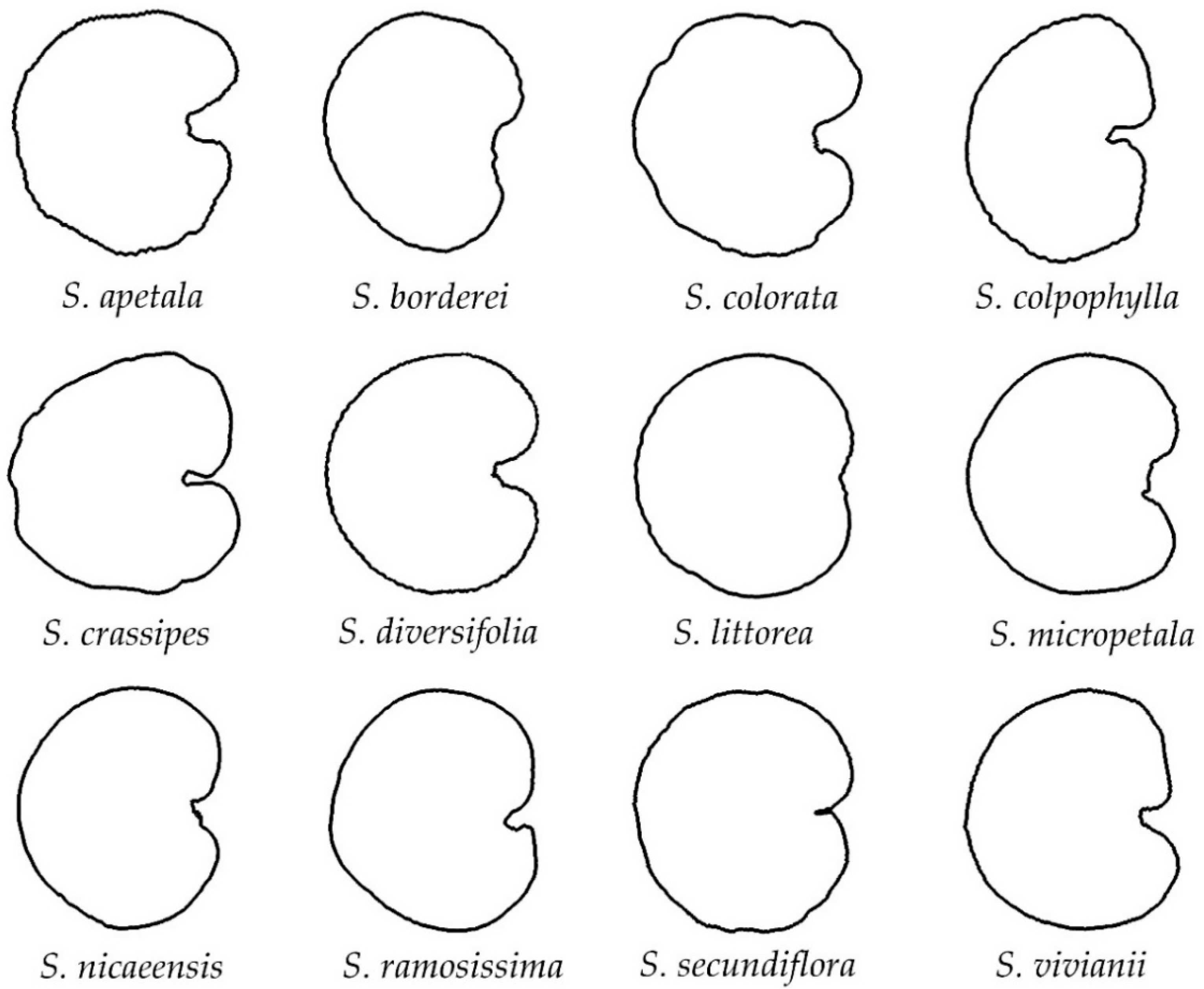 Taxonomy 02 00024 g002