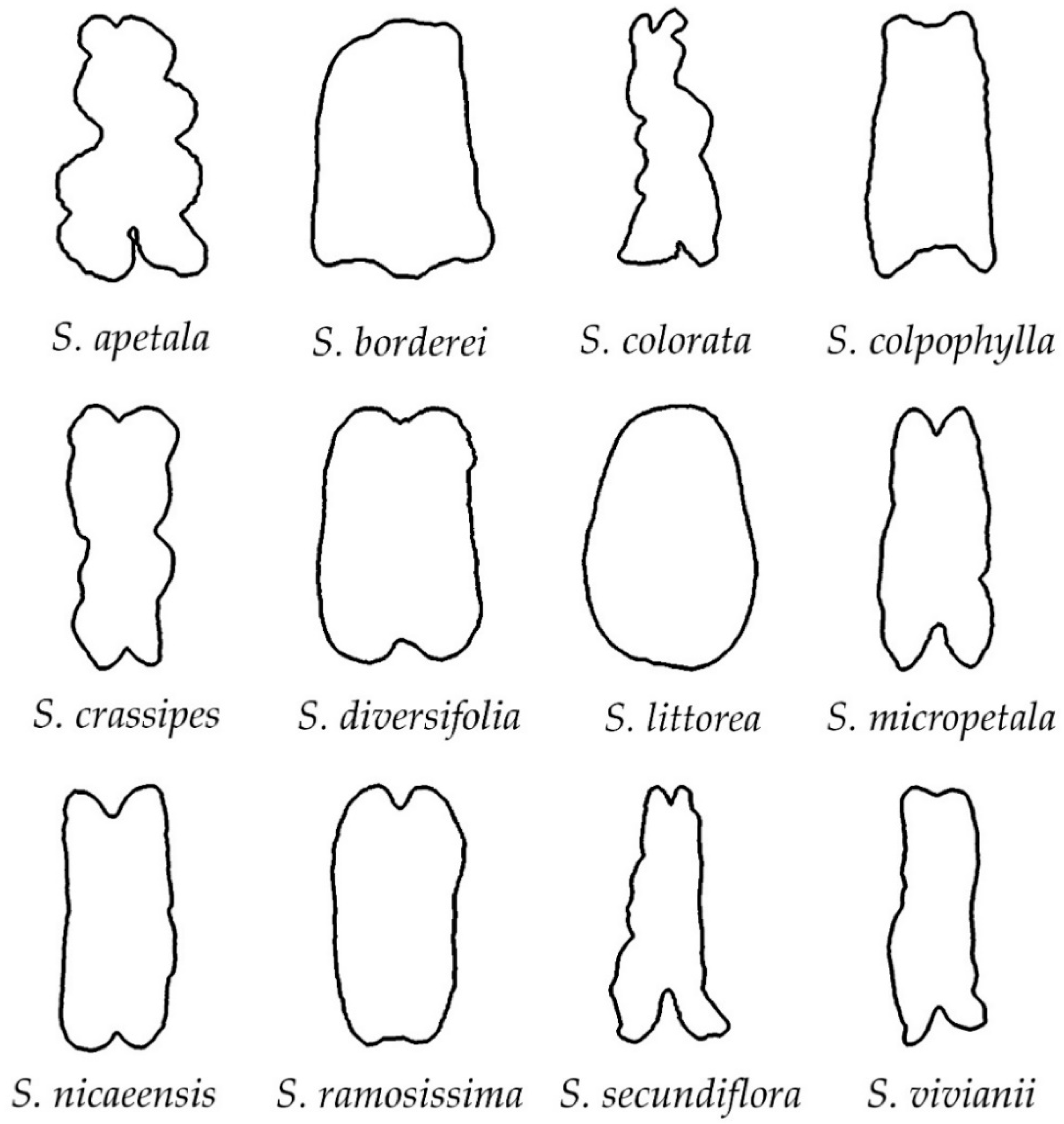 Taxonomy 02 00024 g003