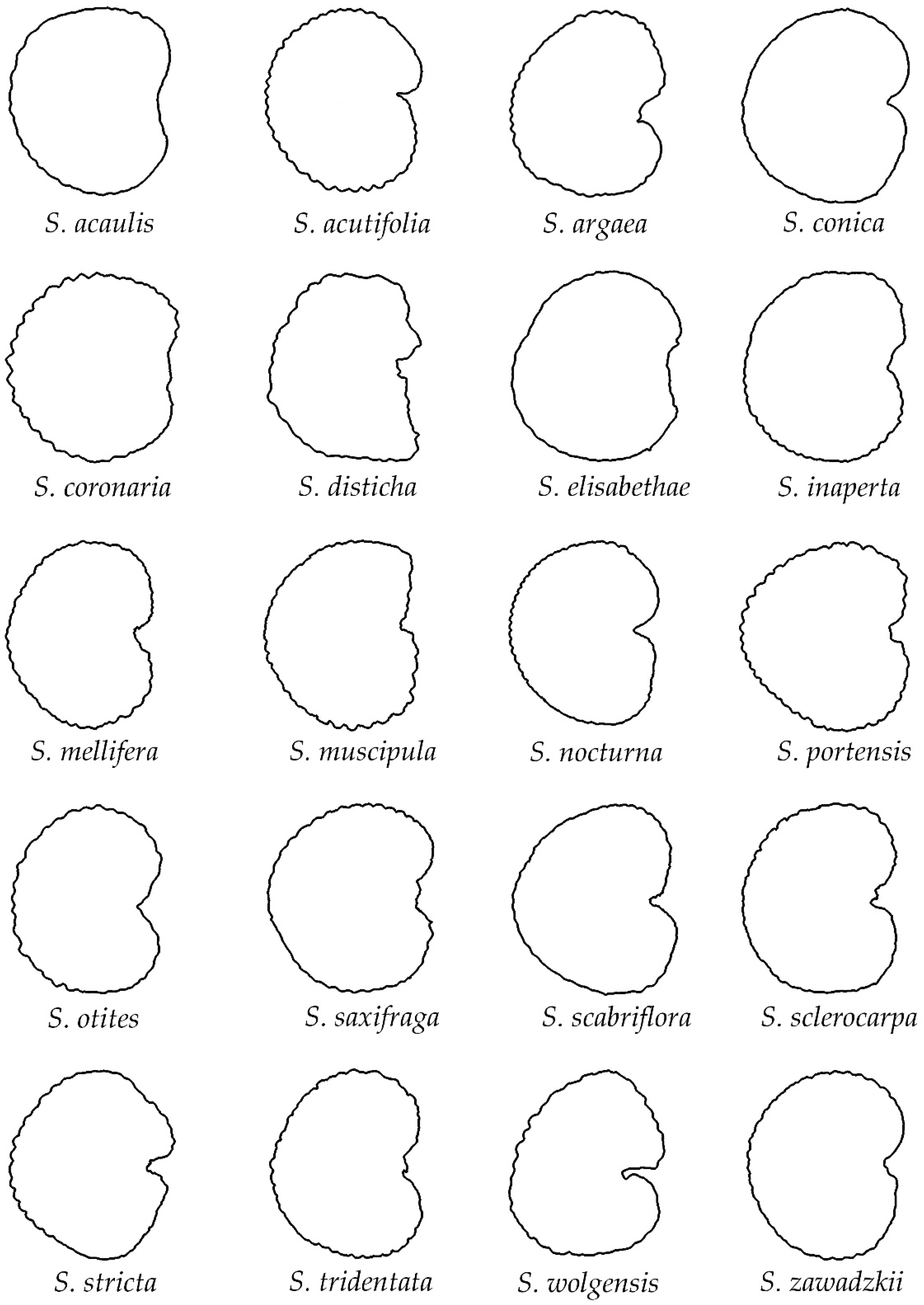 Taxonomy 02 00024 g004
