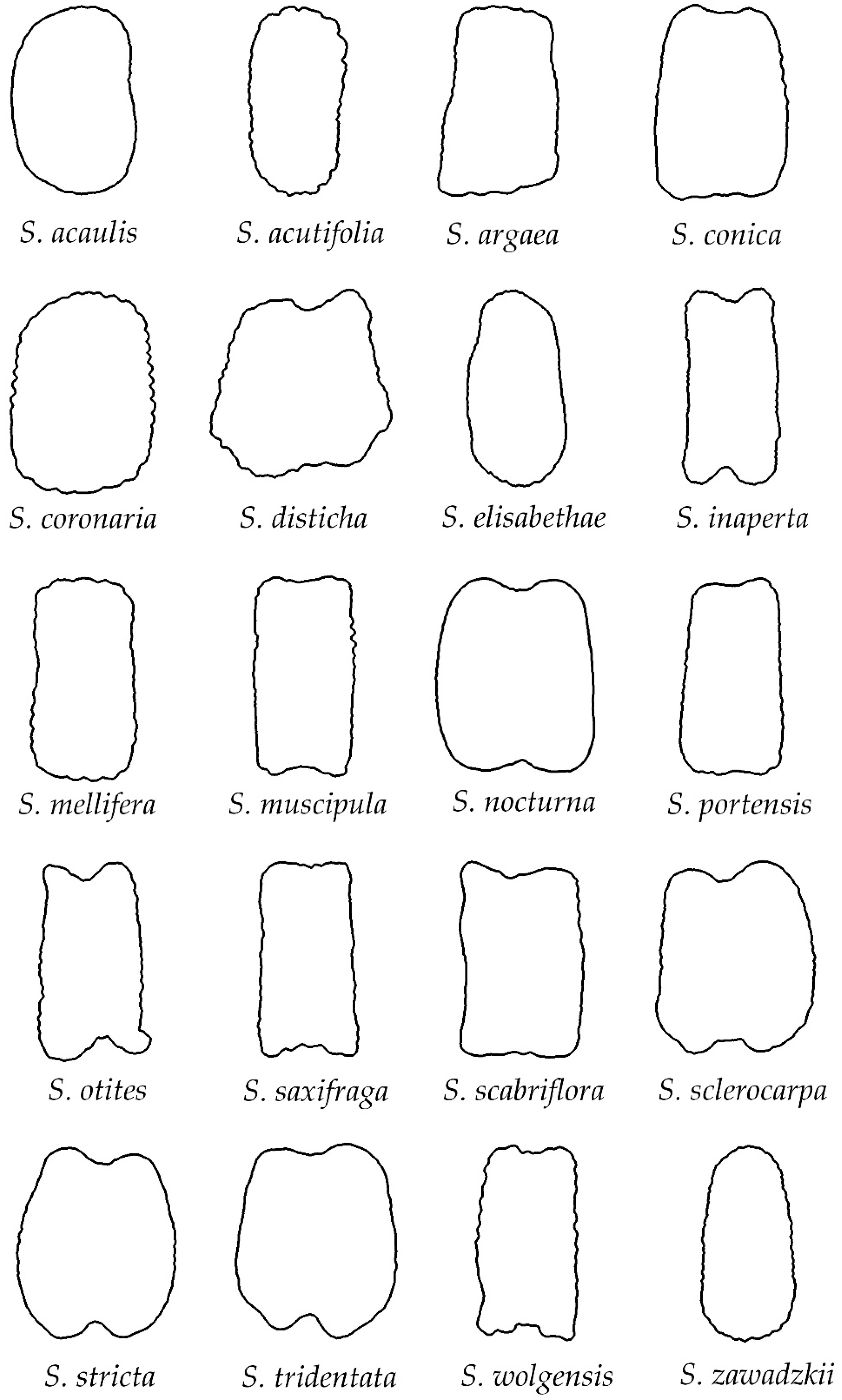 Taxonomy 02 00024 g005