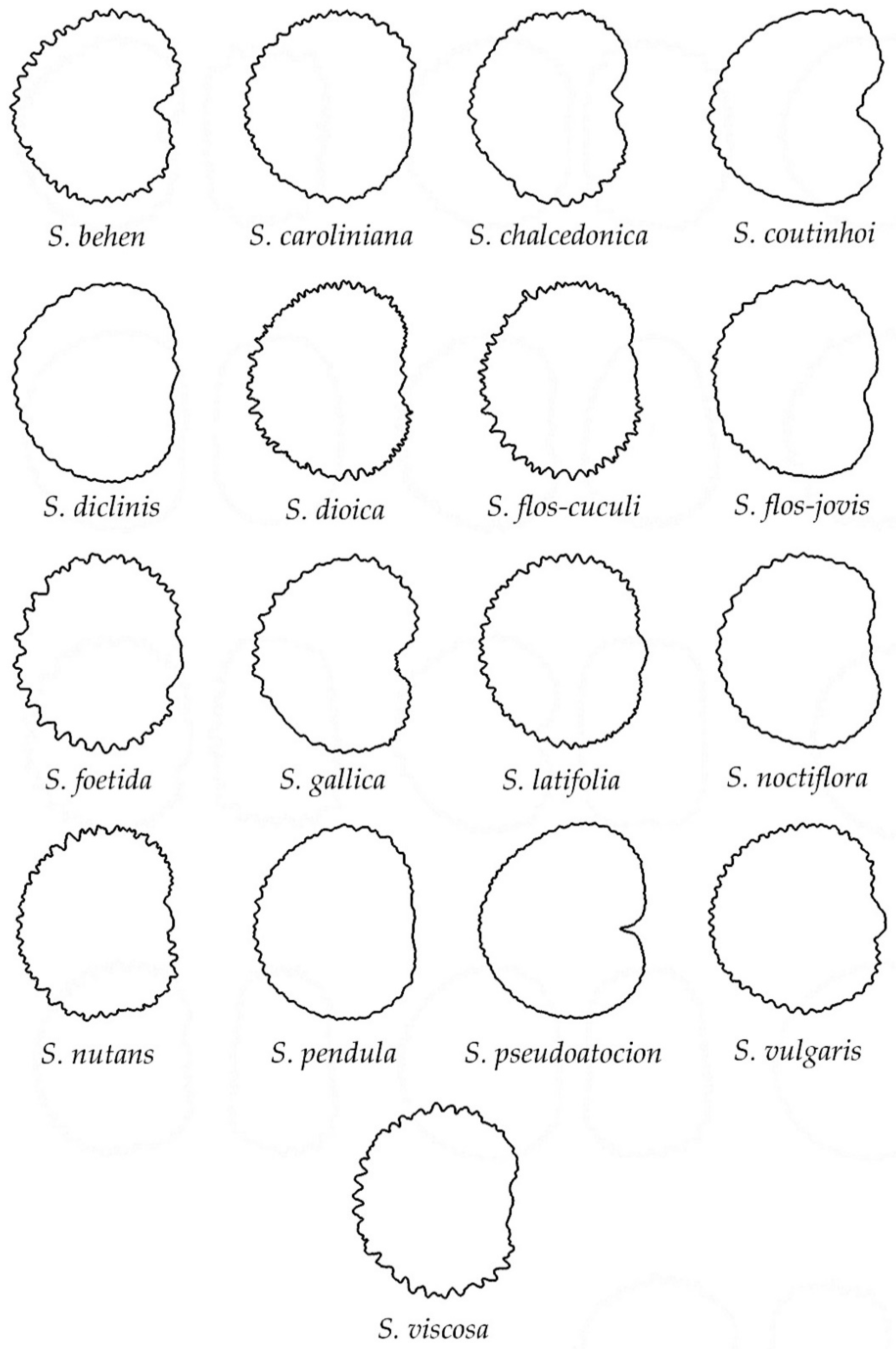 Taxonomy 02 00024 g006