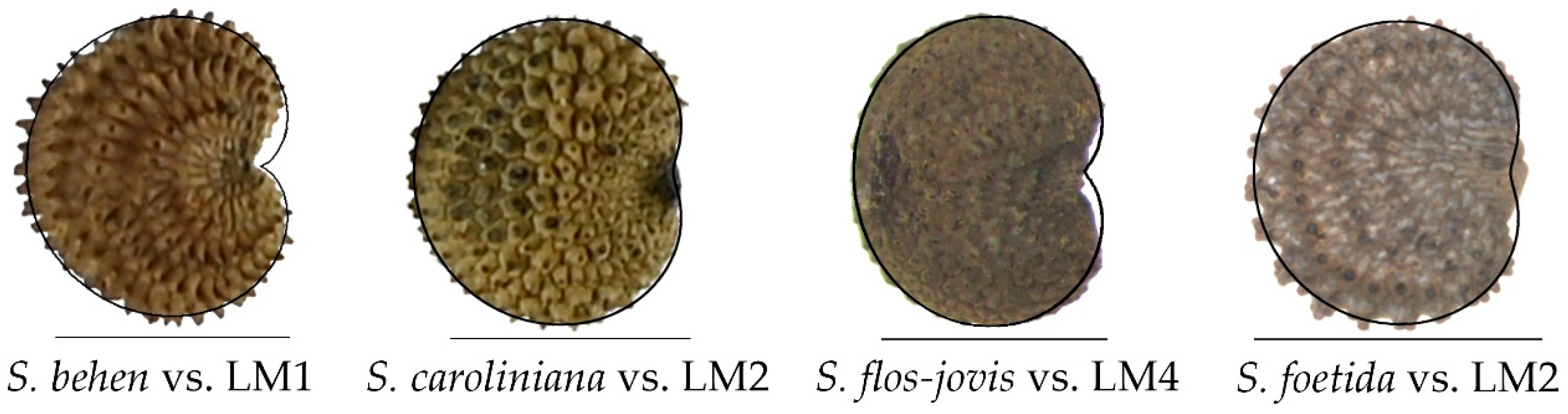 Taxonomy 02 00024 g010