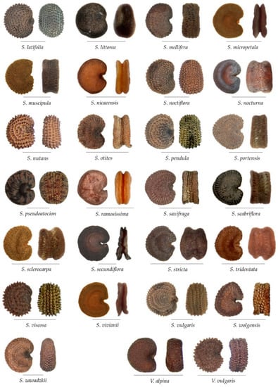 Taxonomy 02 00024 g0a2b